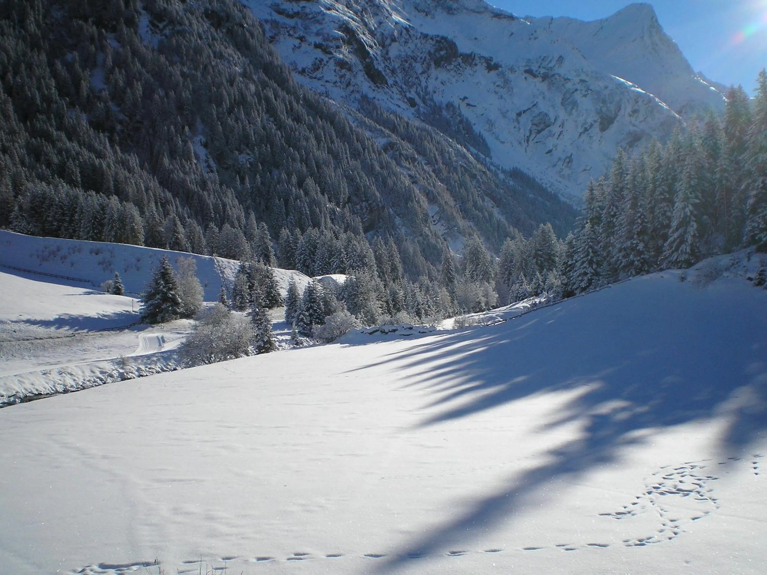 Natural landscape in Haus Bödele