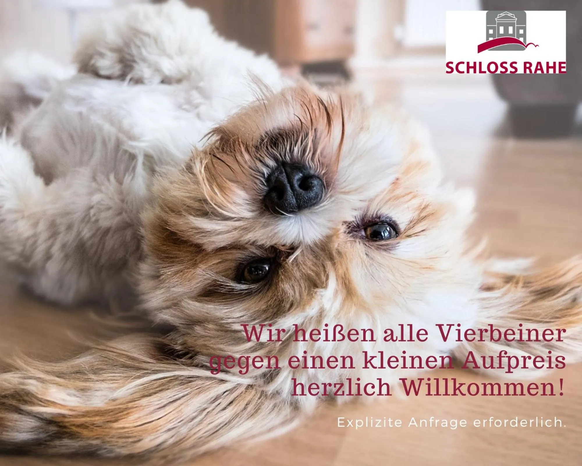 Pets in Boardinghouse Rathsmühle