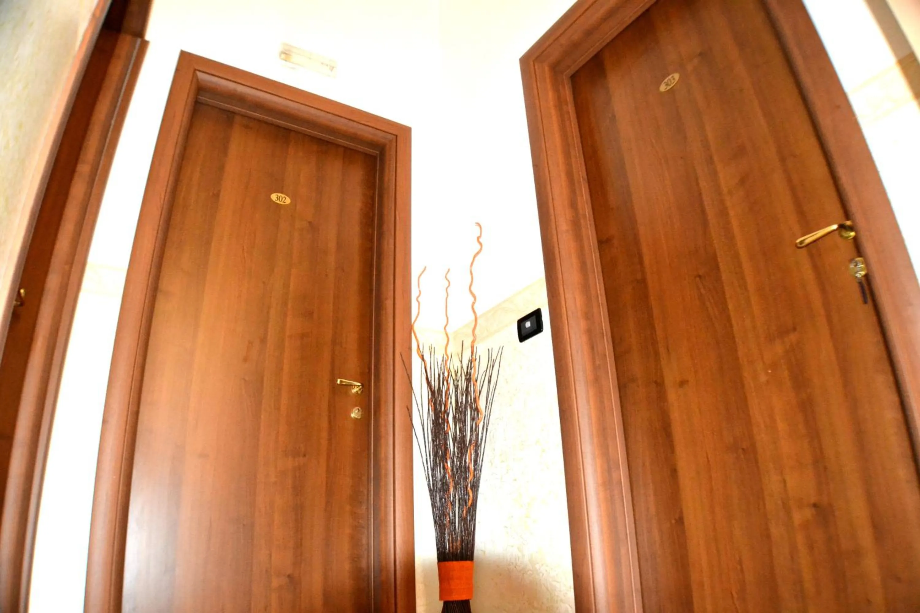 Patio in B&B Centrale Affittacamere