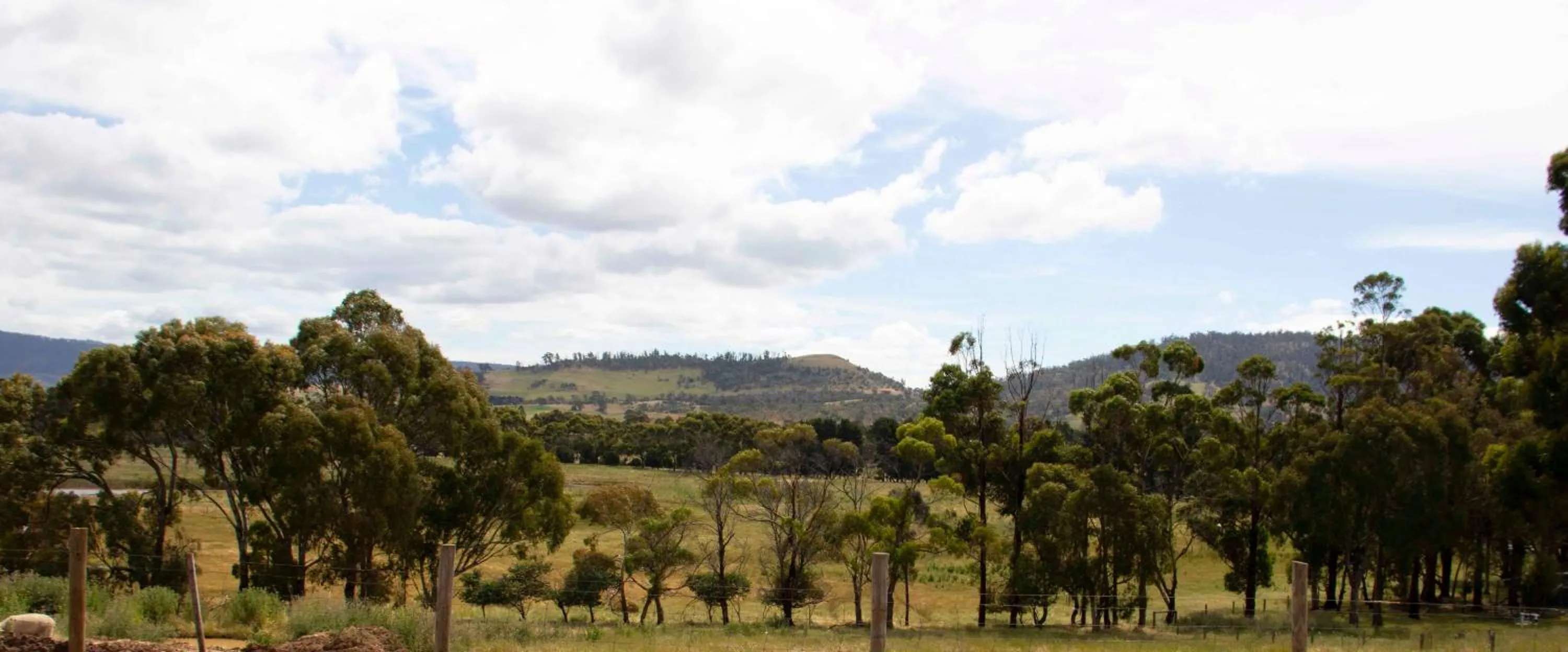 Hatchers Richmond Manor