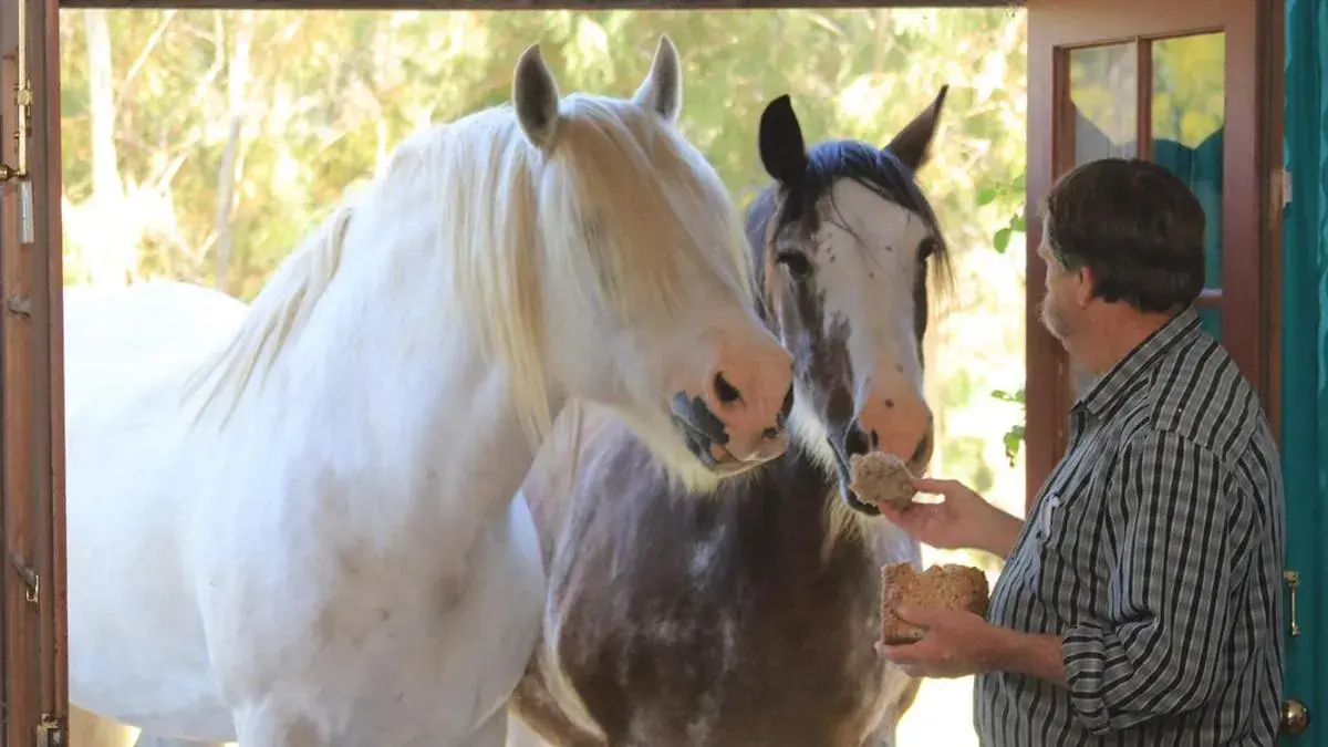 Property building in Hatchers Richmond Manor Property building in Hatchers Richmond Manor