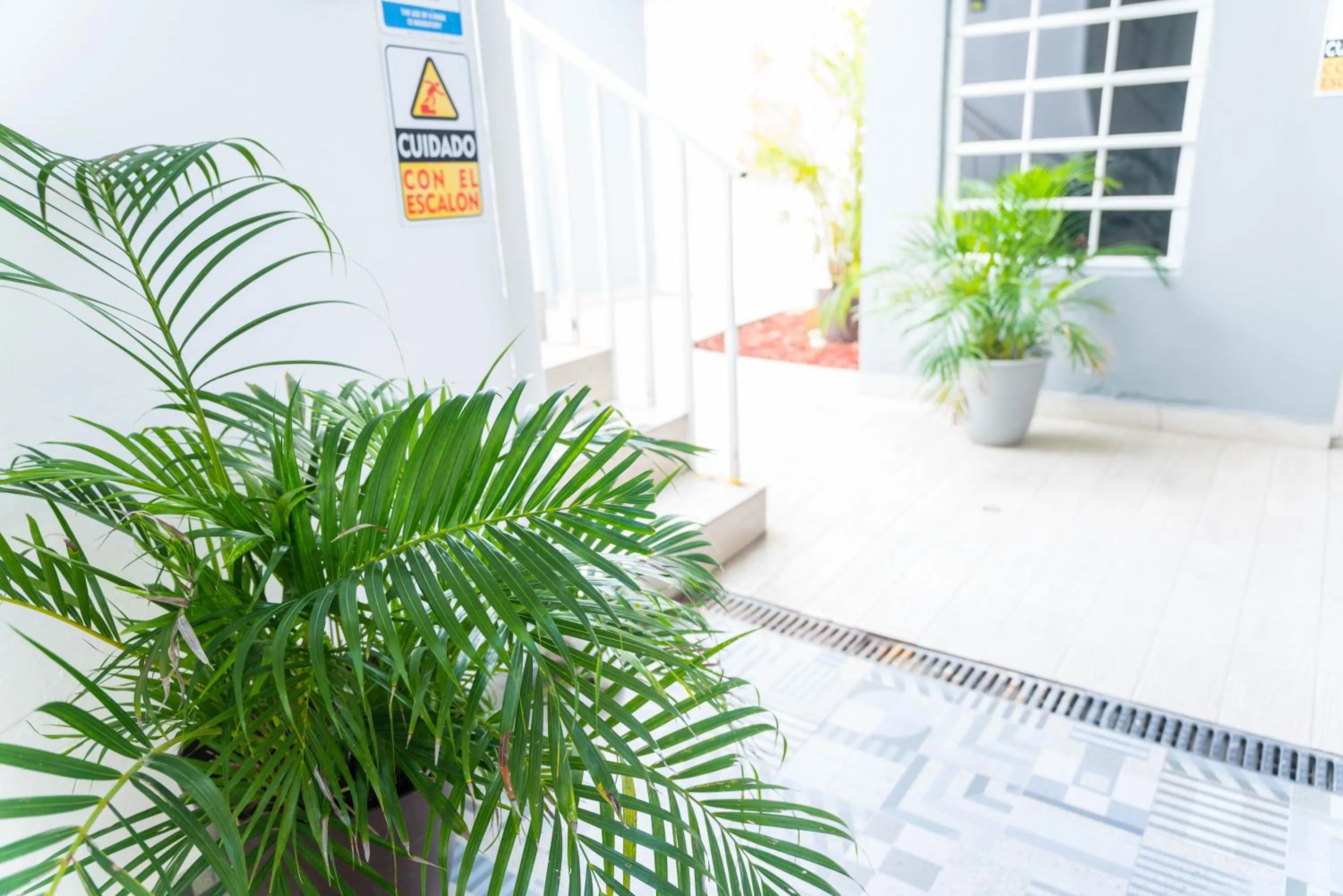 Staff in The Pelican Poshtel