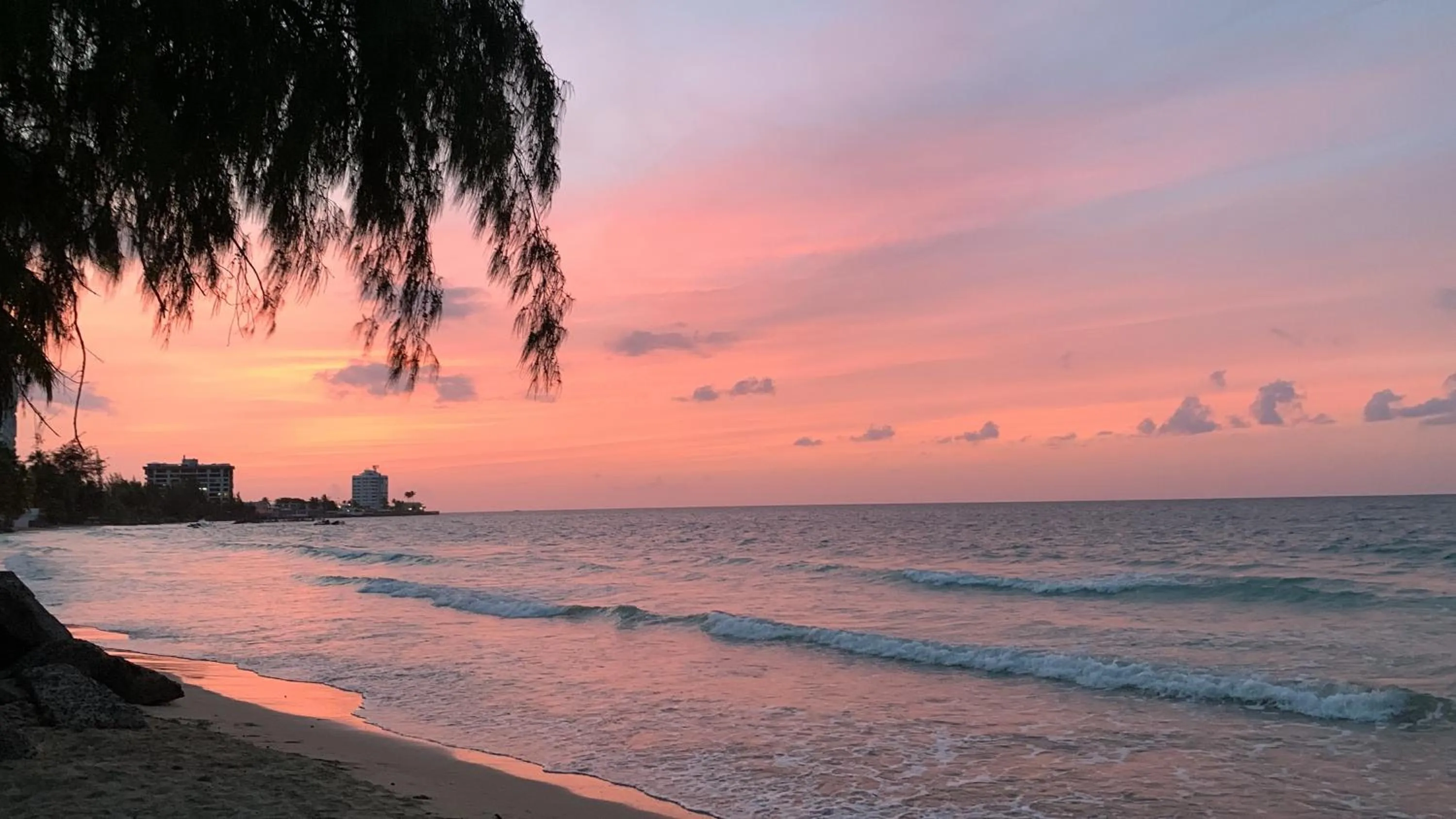 Beach in The Pelican Poshtel