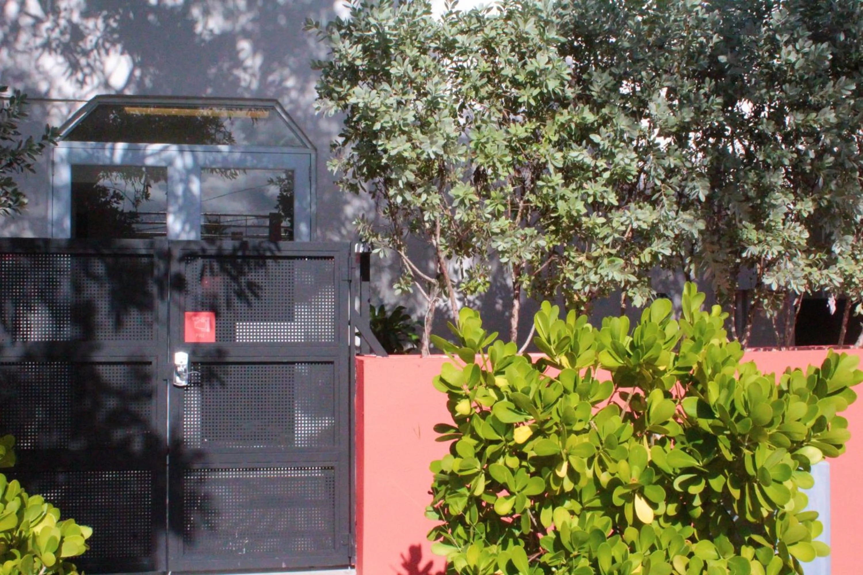 Garden in Aura House Isla Verde