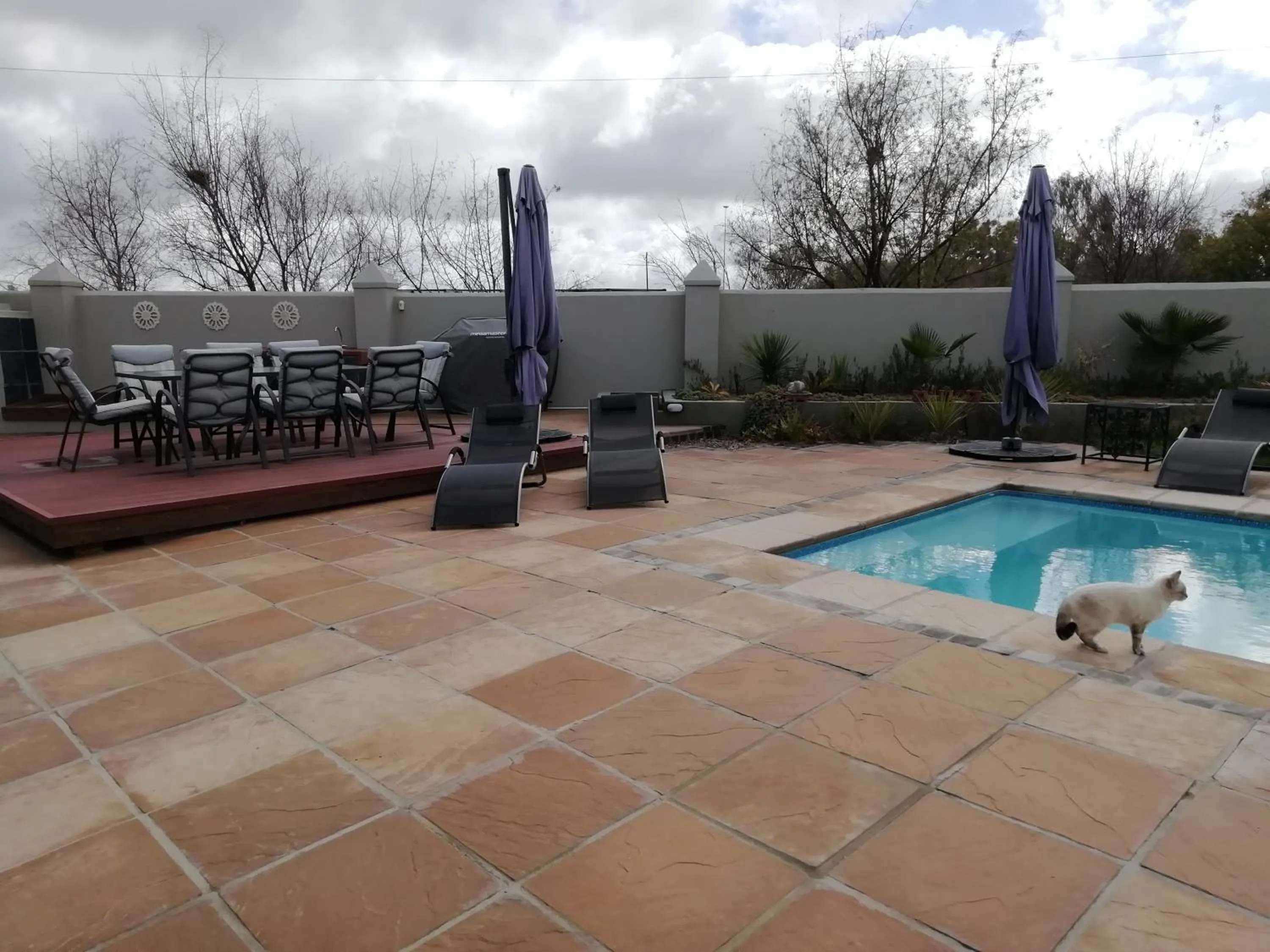 Garden in Linda se Dop