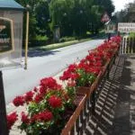 Pension "Parkhotel" Blankenhain