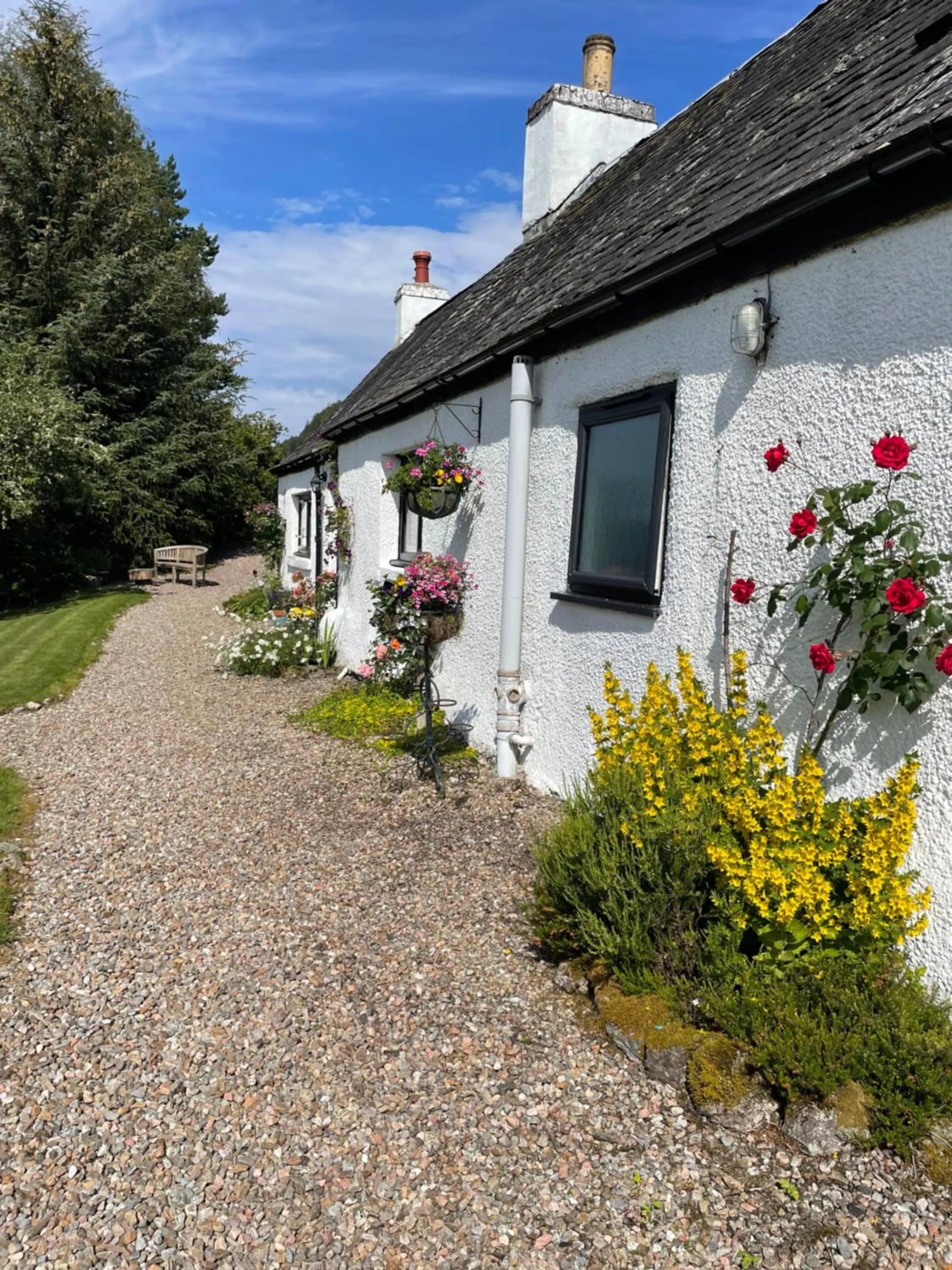 Lundie View B & B