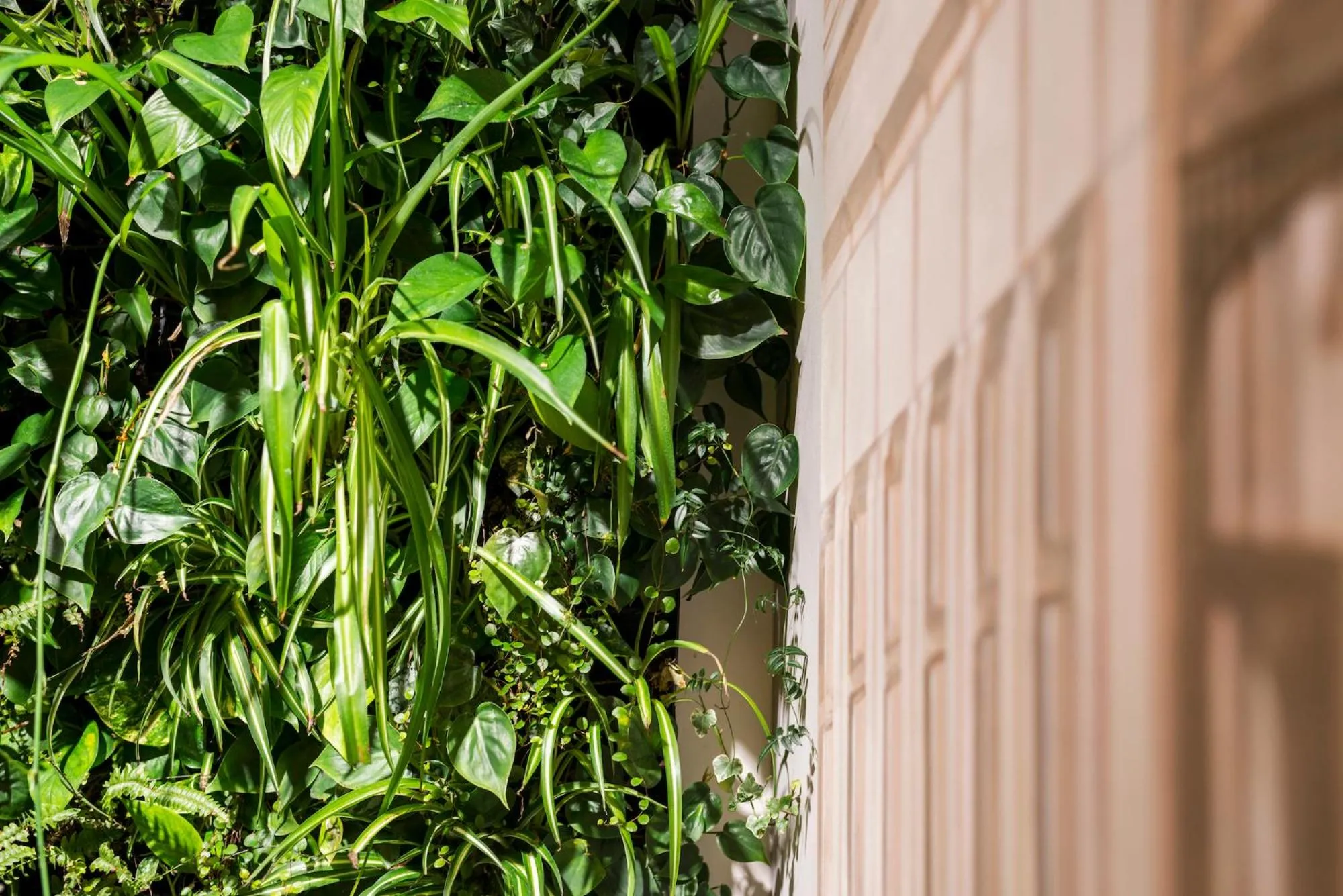 Restaurant/places to eat in Big Stone