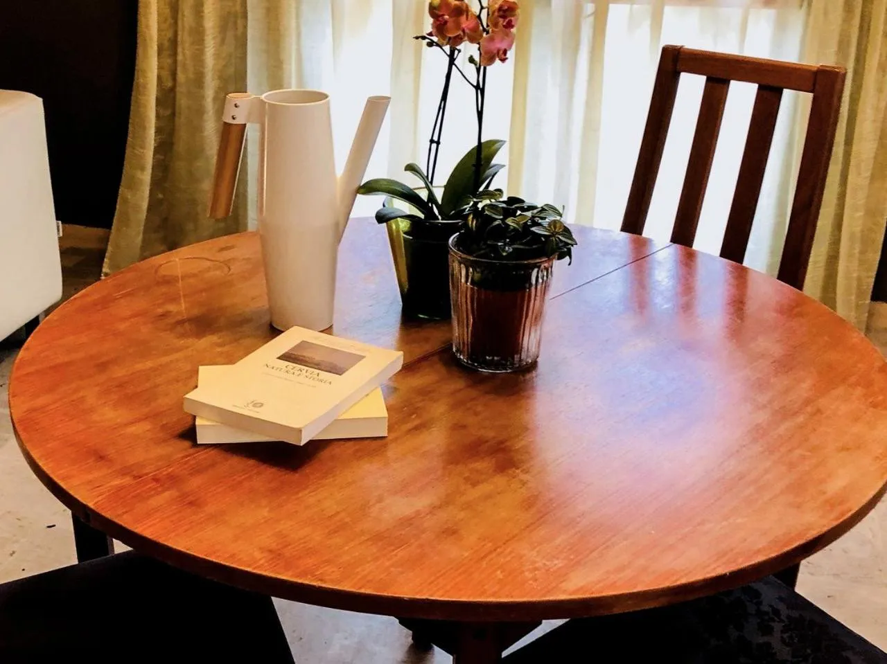 Communal lounge/ TV room in Hotel Aplo - Breakfast Experience