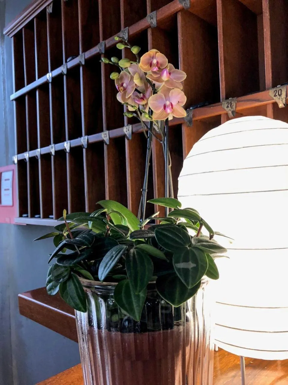 Lobby or reception in Hotel Aplo - Breakfast Experience