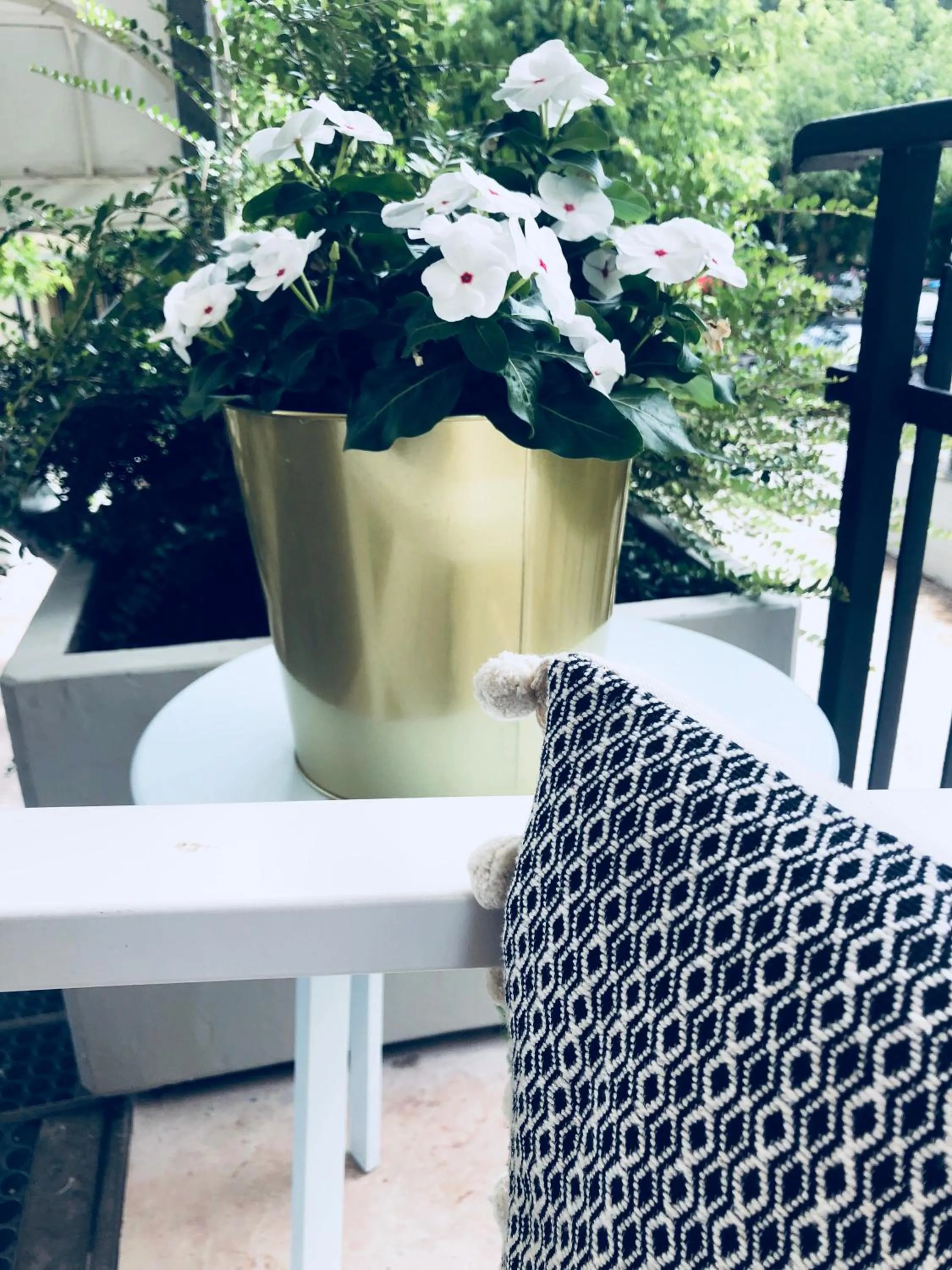 Balcony/Terrace in Hotel Aplo - Breakfast Experience