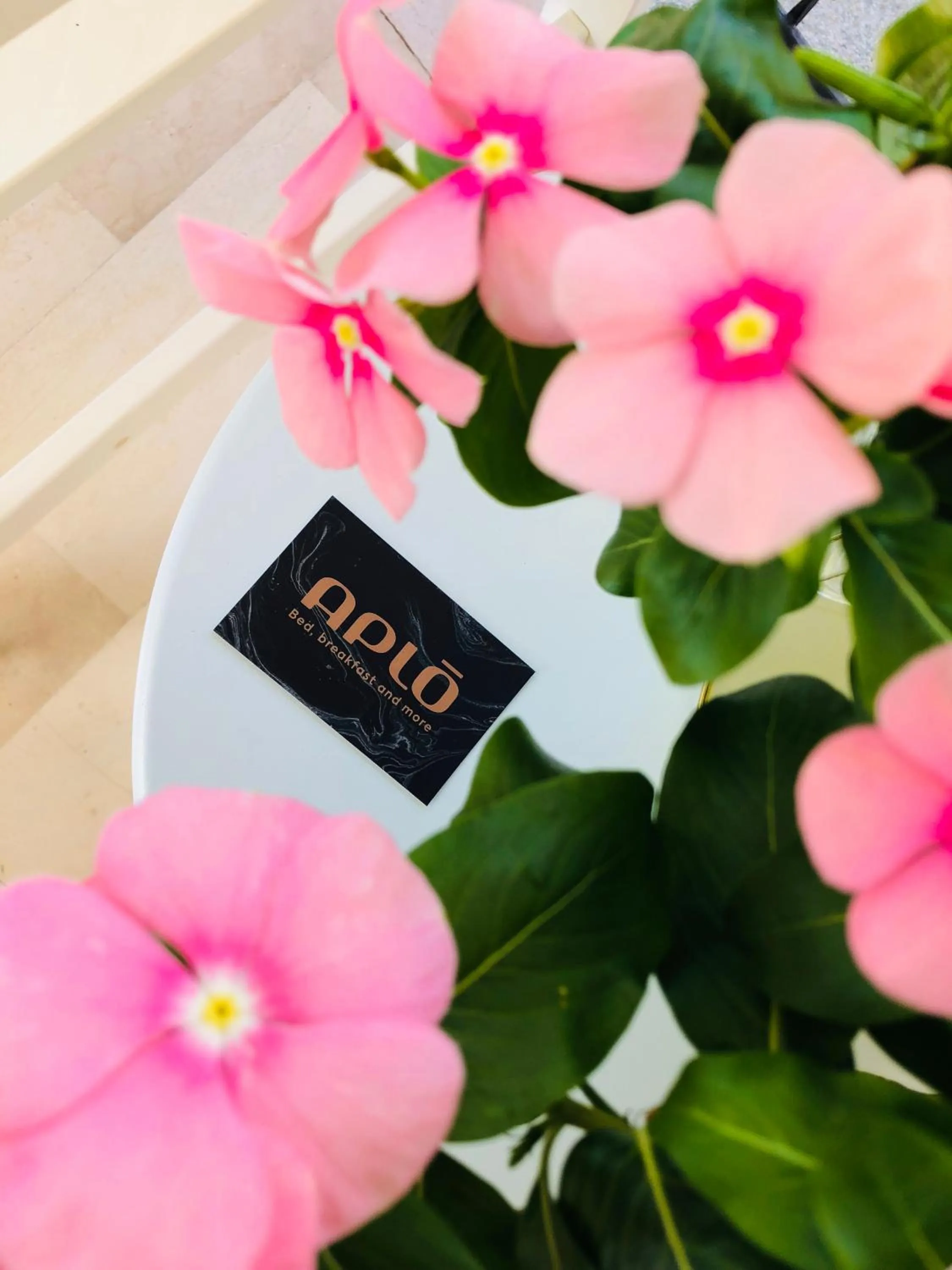 Logo/Certificate/Sign in Hotel Aplo - Breakfast Experience