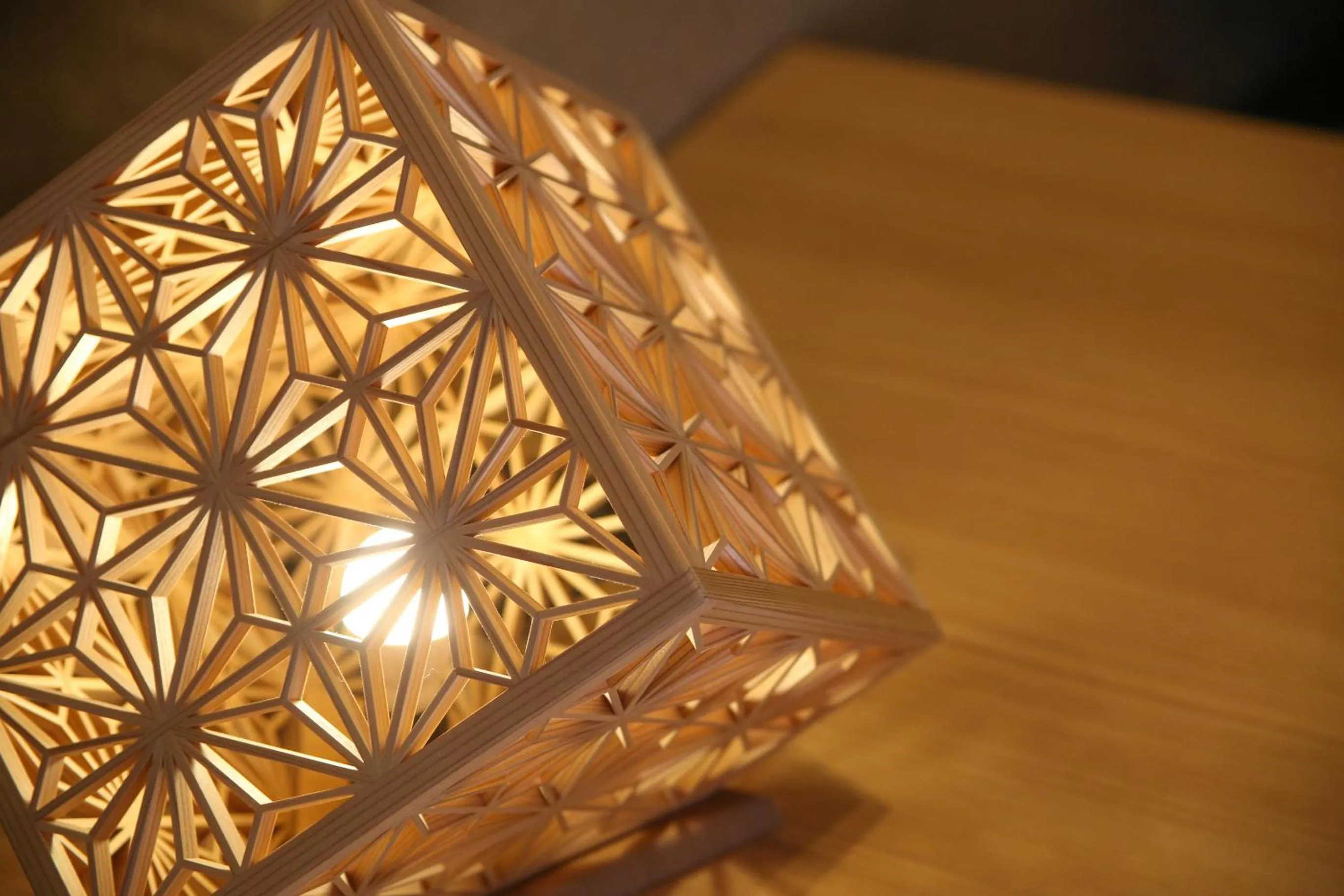 Apartment Hotel Tenjin TUMUGU