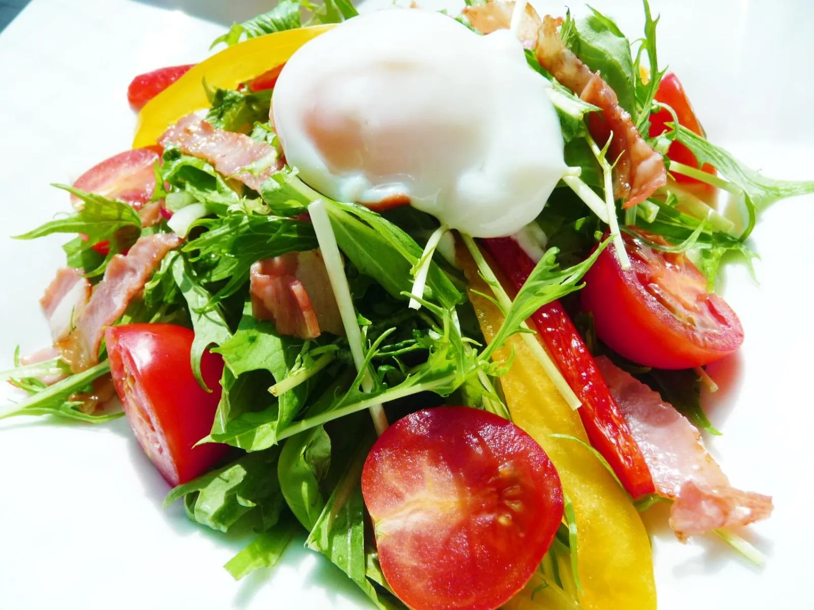 Buffet breakfast in Hotel New White House