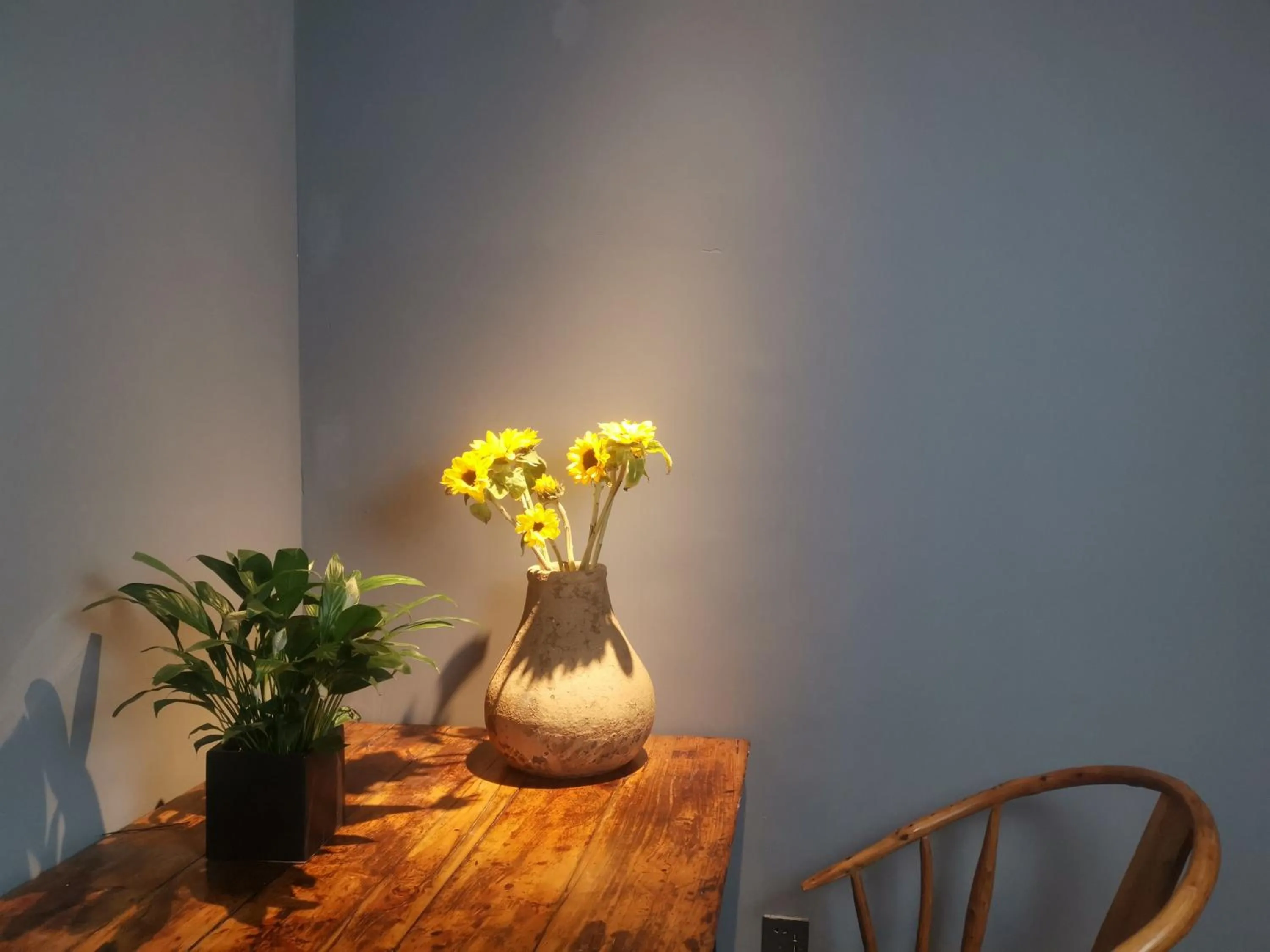 Property building in Moonlight Hotel