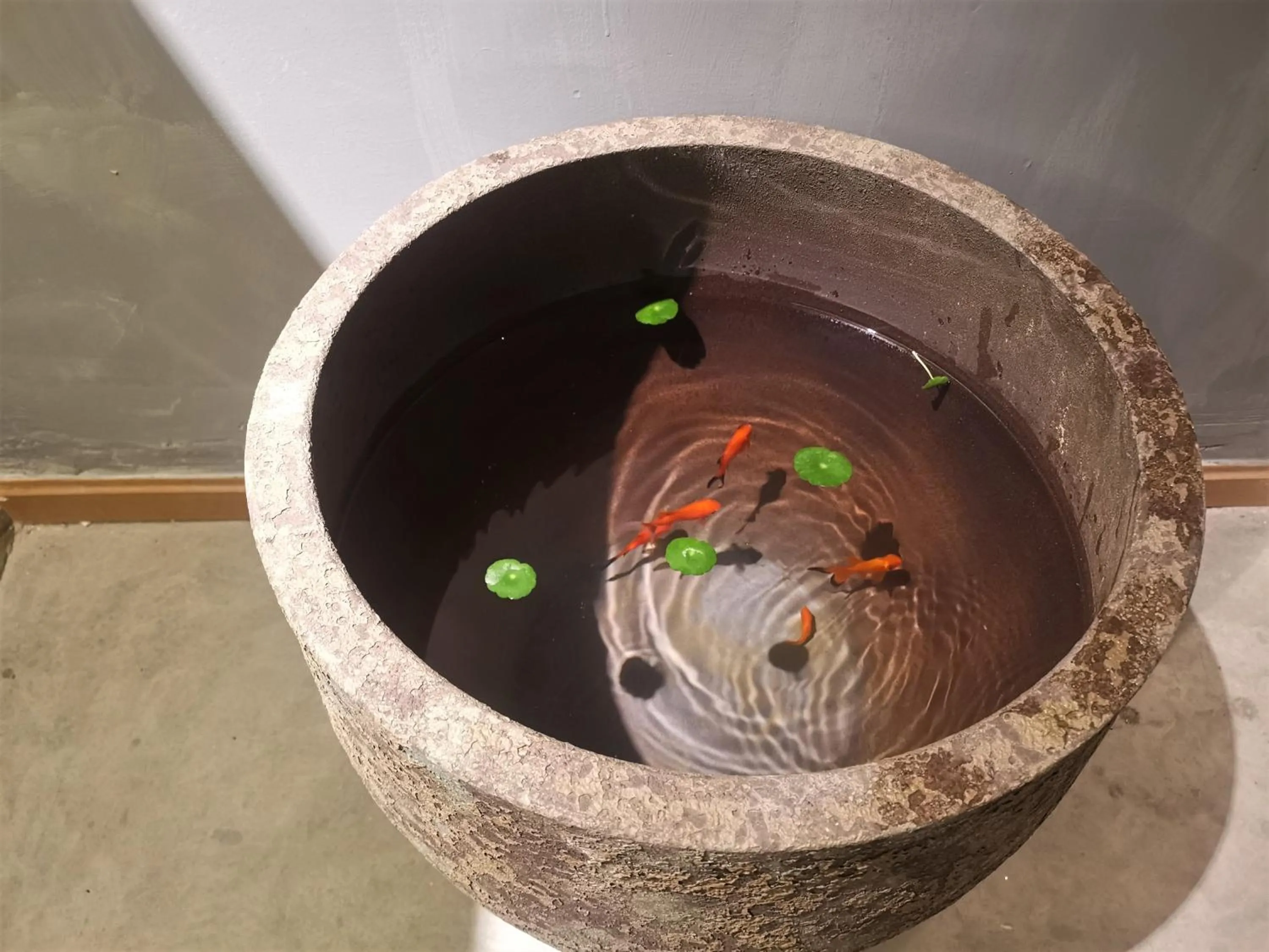 Decorative detail in Moonlight Hotel