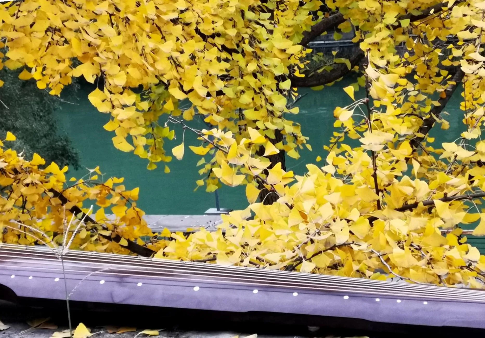 Balcony/Terrace in Moonlight Hotel