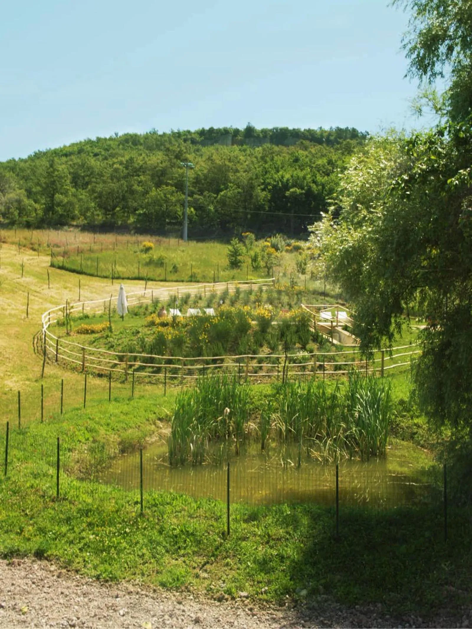 Garden in La Fornace di San Galgano