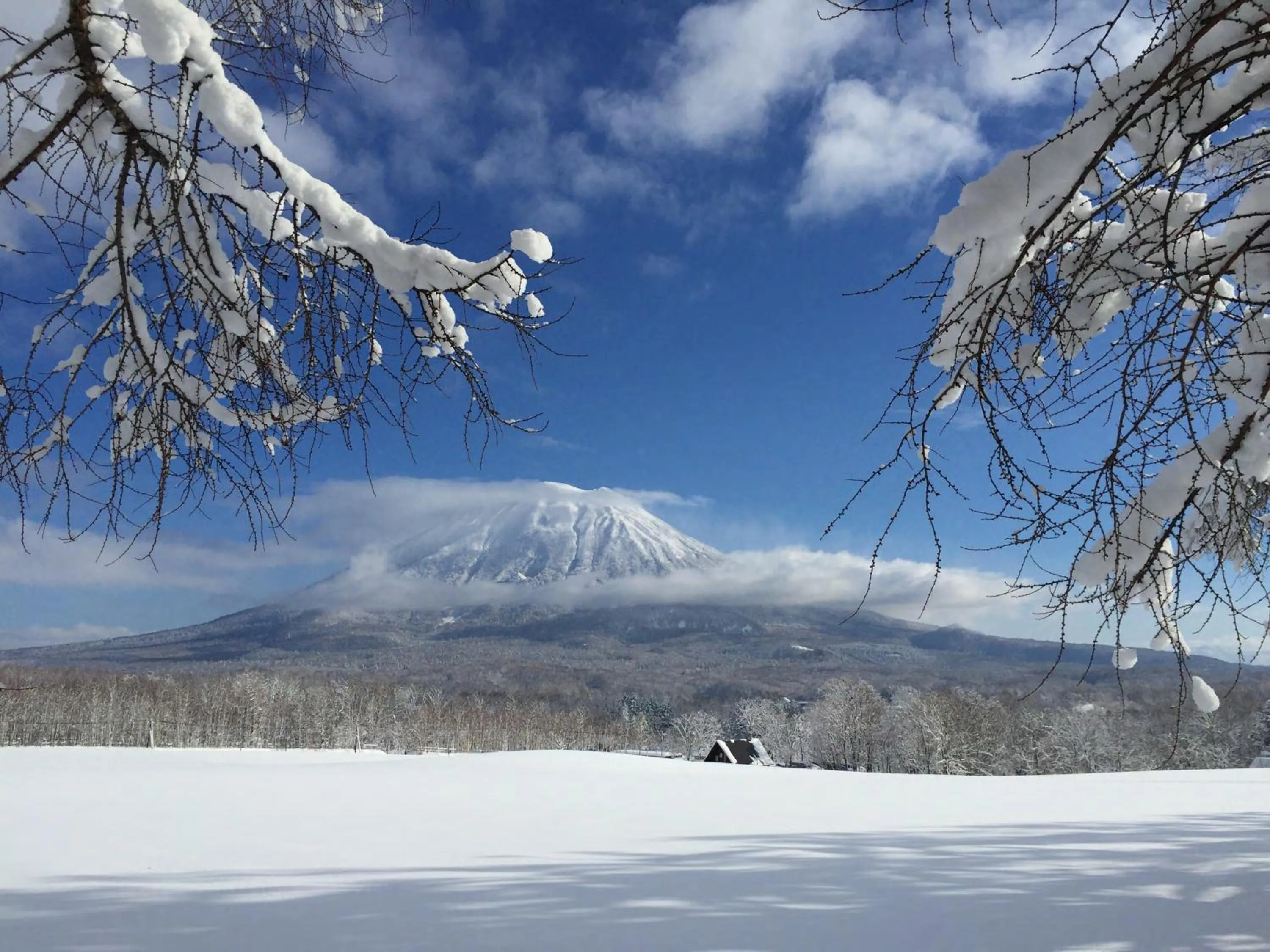 Natural landscape in Andaru Collection Niseko