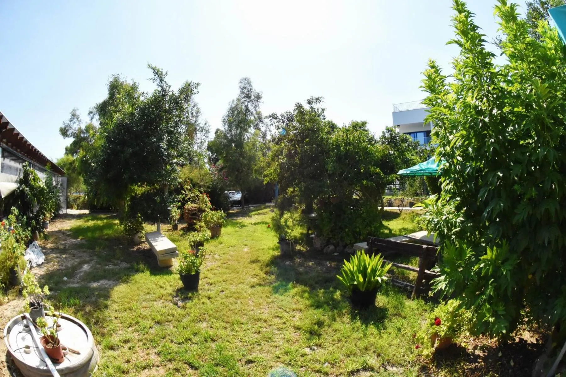 Garden in Governors Beach Panayiotis