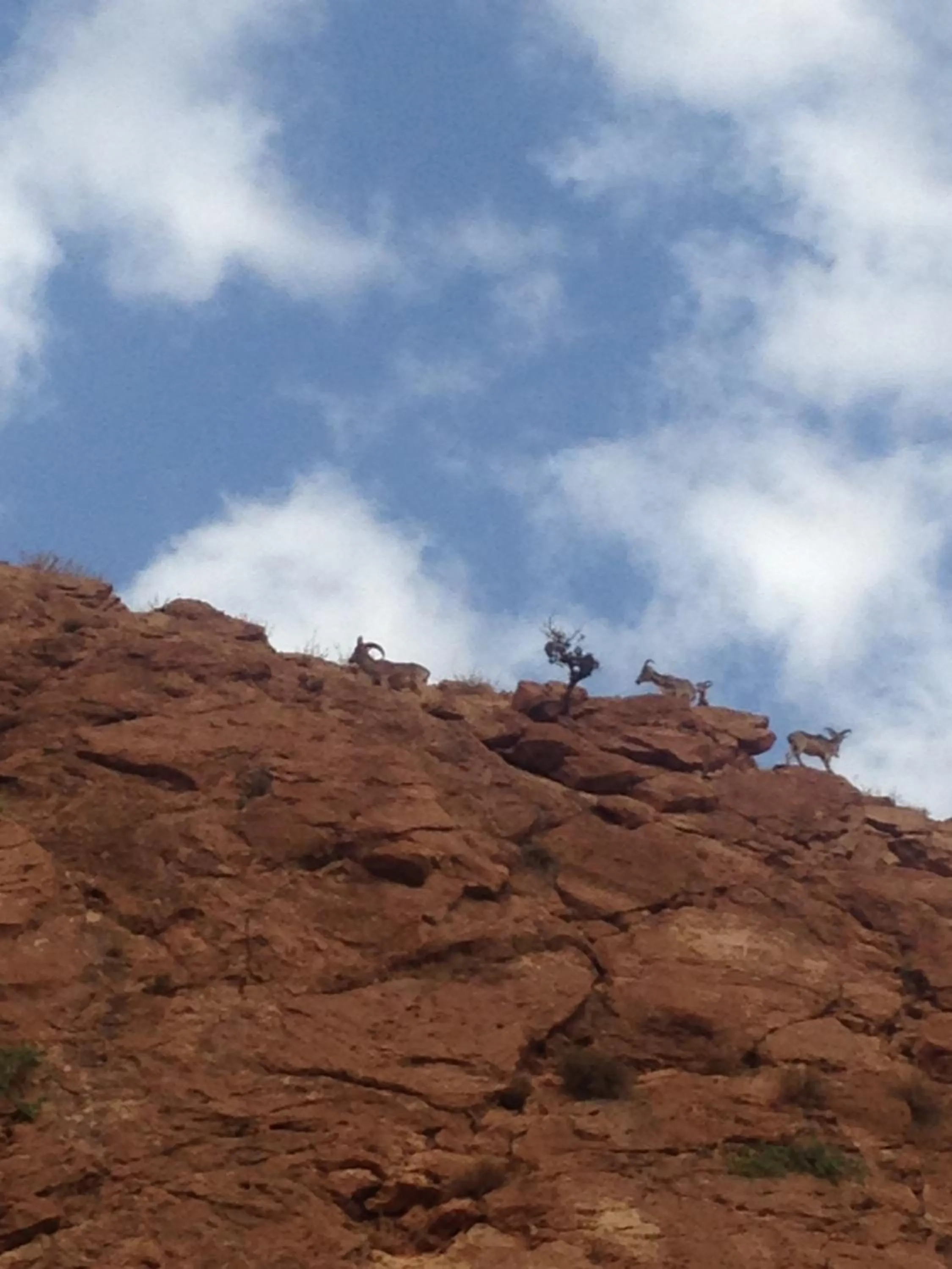Nearby landmark in Auberge Le Festival Todra Gorge