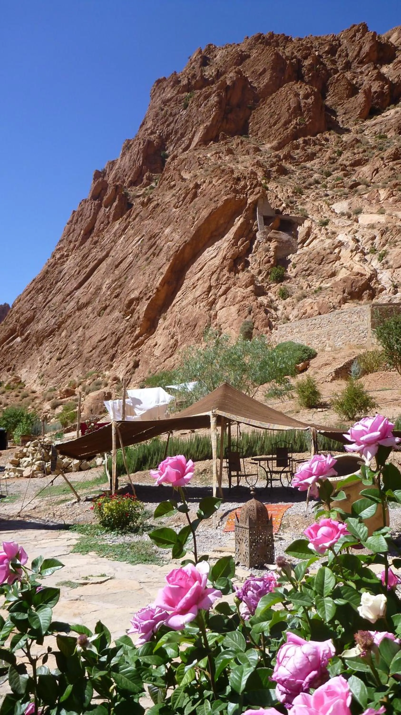 Garden in Auberge Le Festival Todra Gorge