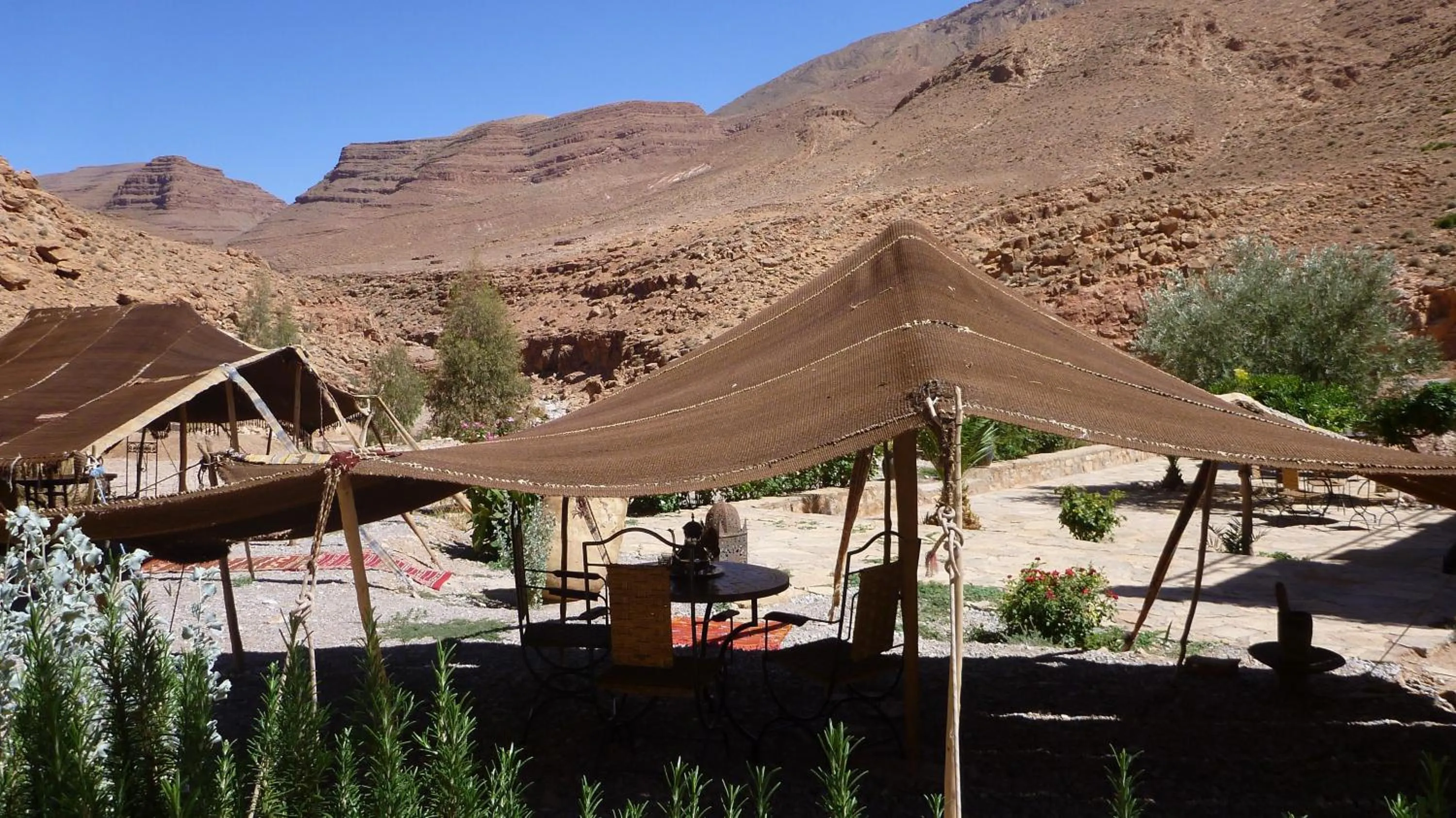 Garden in Auberge Le Festival Todra Gorge