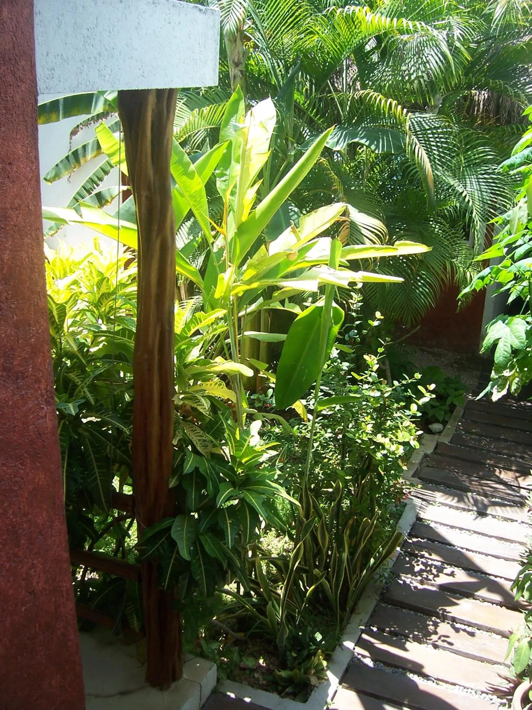 Garden in Elements of the Island