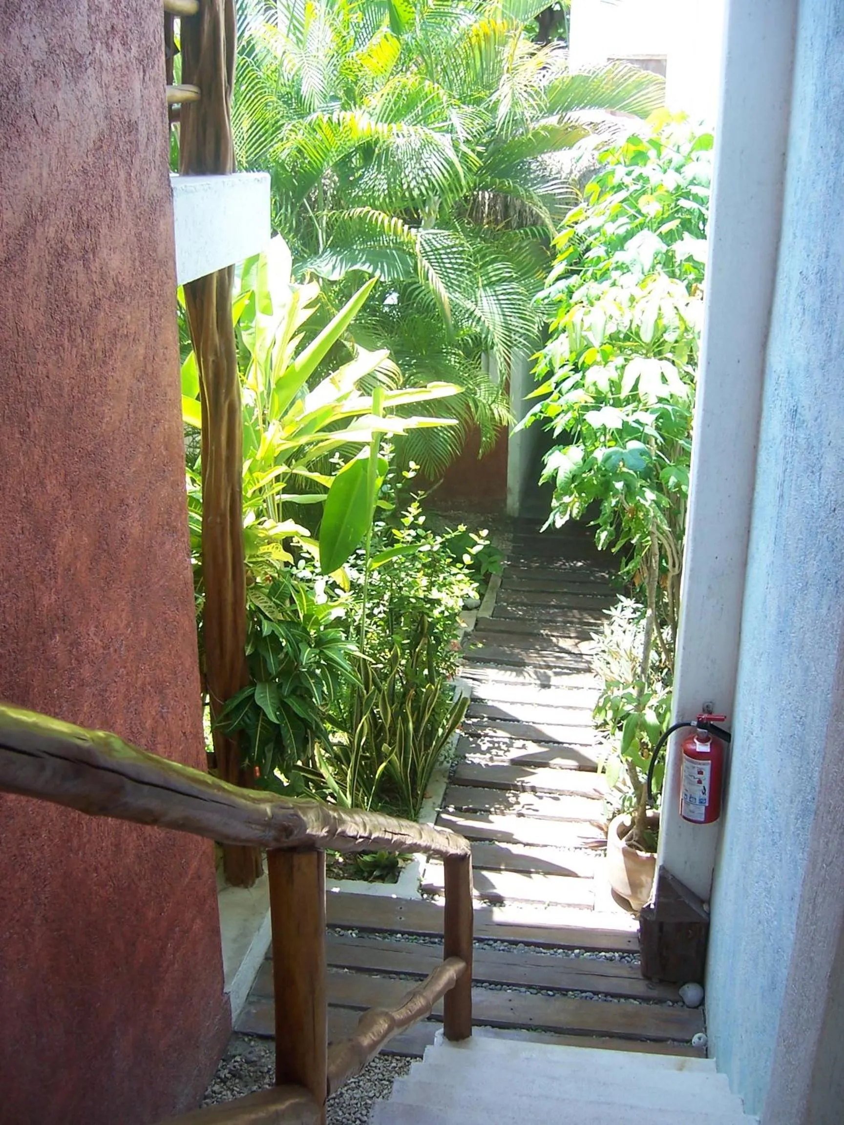 Decorative detail in Elements of the Island