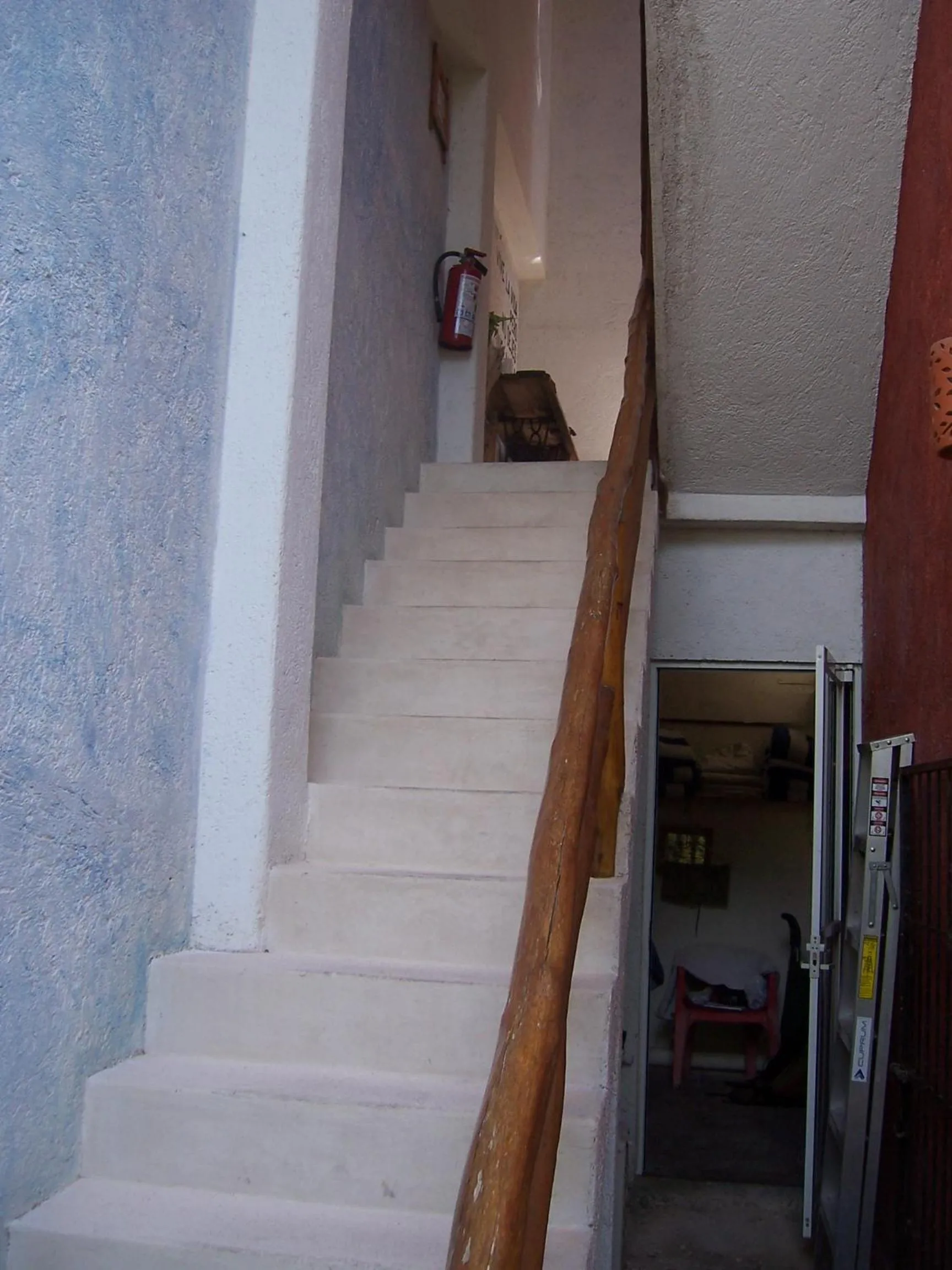 Decorative detail in Elements of the Island
