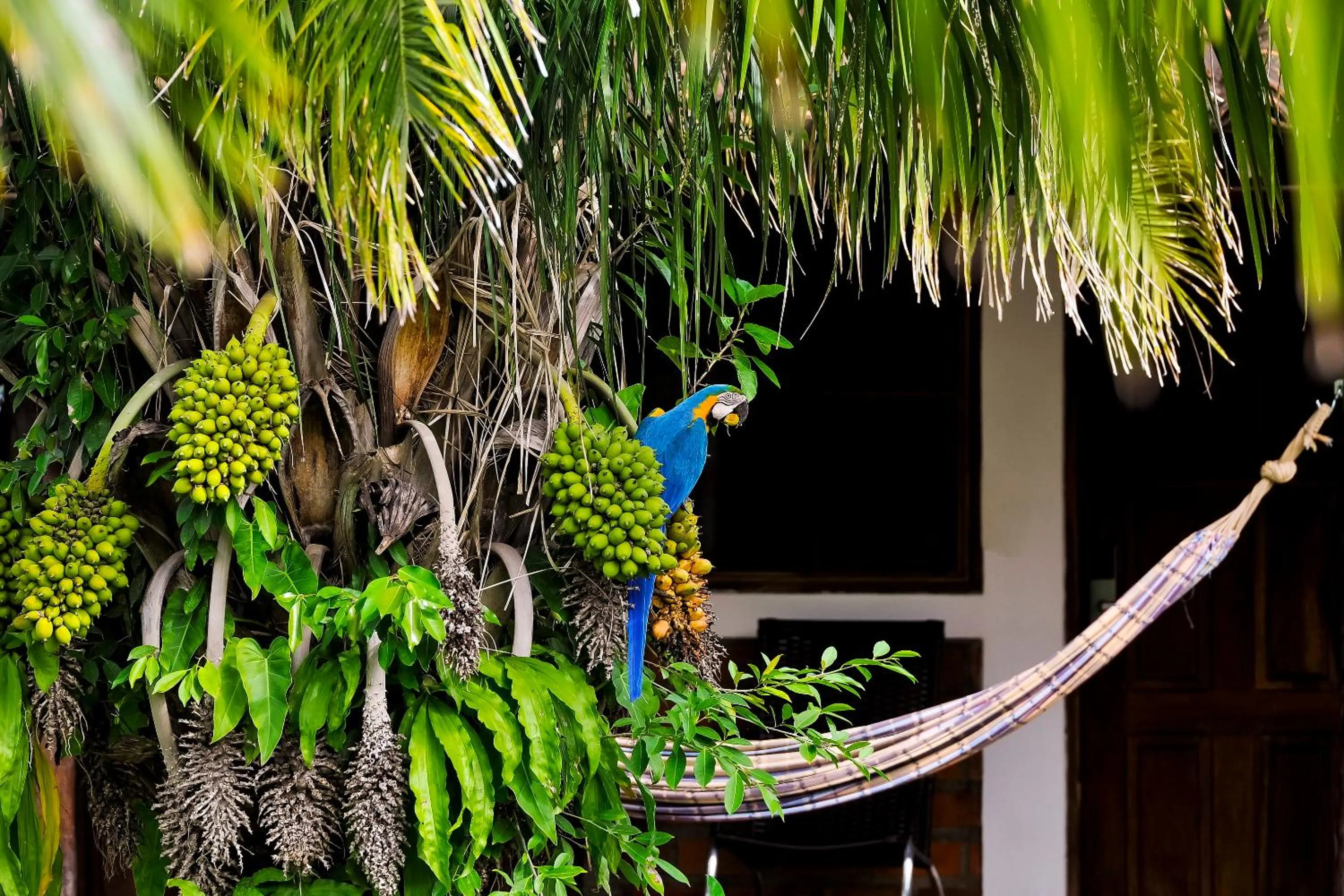 Patio in Pousada Piuval