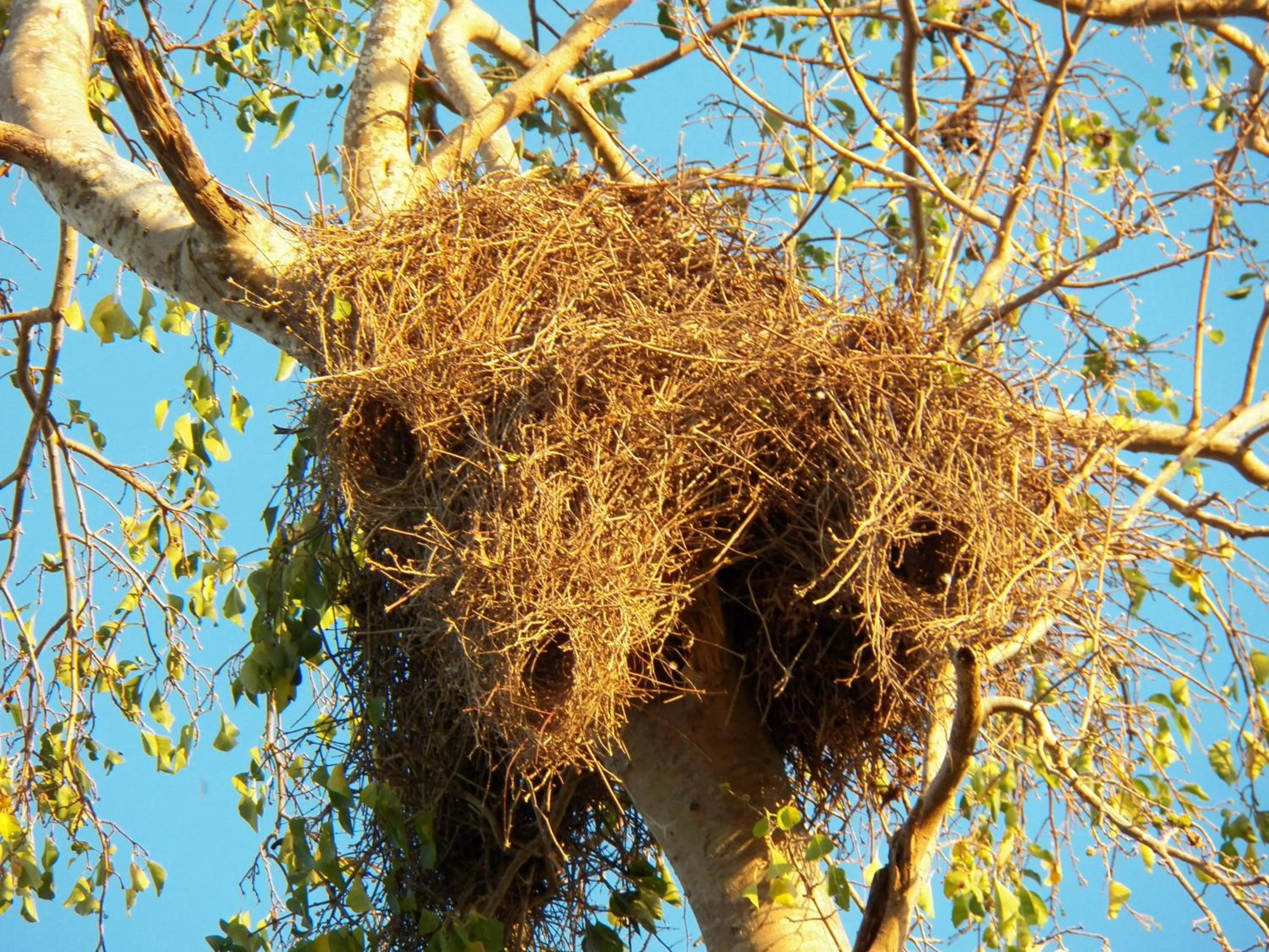 Natural landscape in Pousada Piuval
