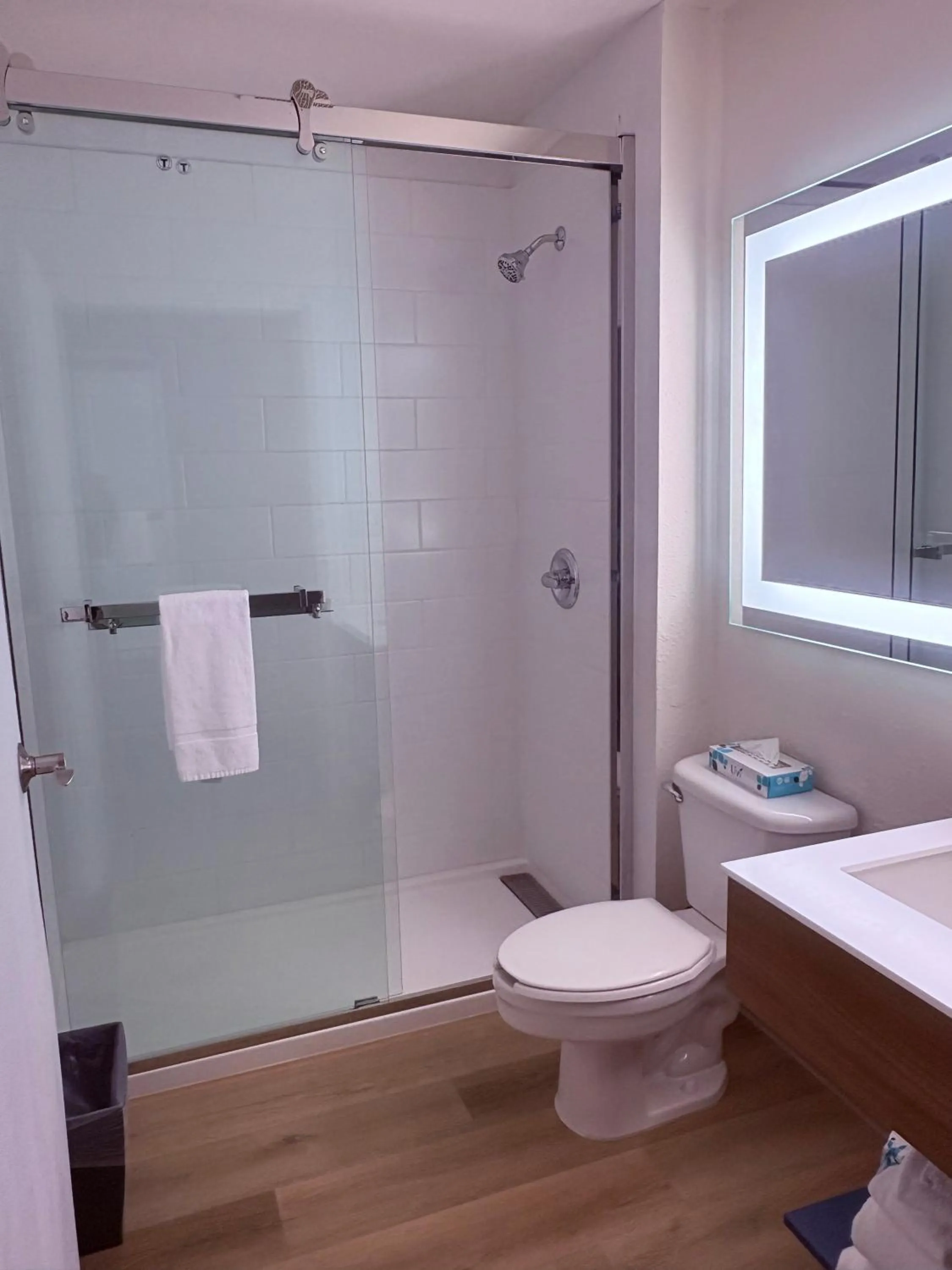 Bathroom in Microtel Inn & Suites by Wyndham Denver Airport