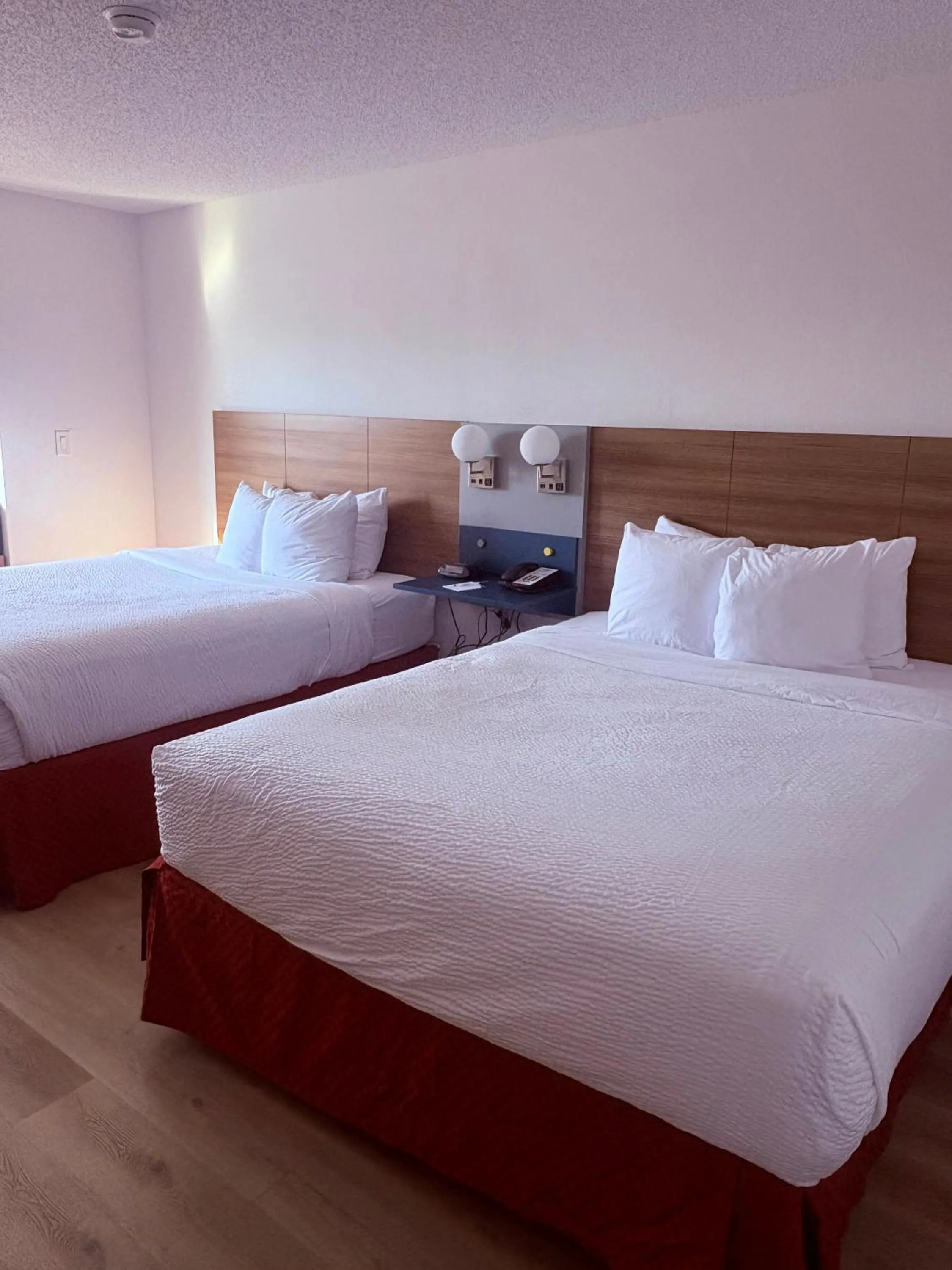 Bed in Microtel Inn & Suites by Wyndham Denver Airport