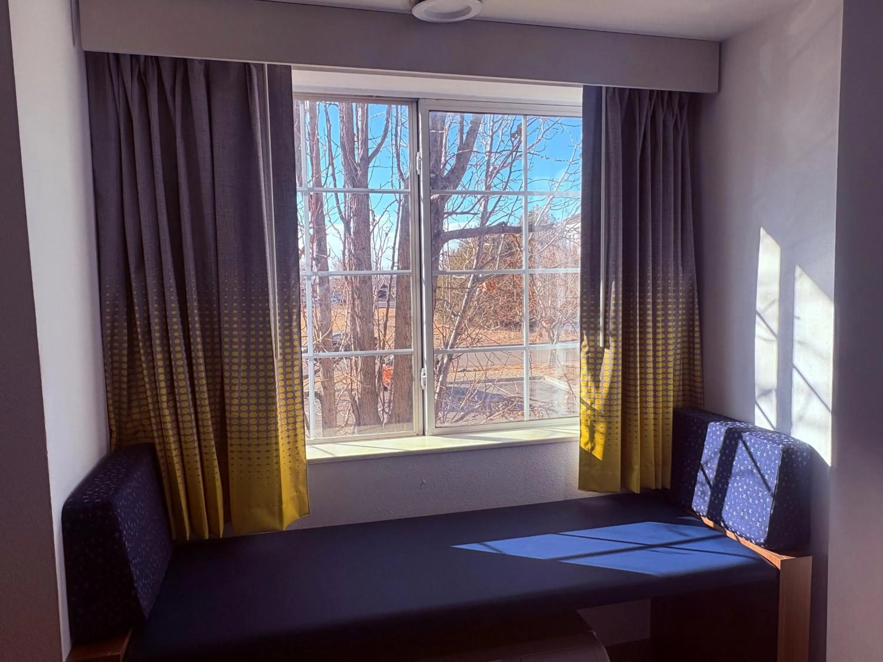 Seating area, Bed in Microtel Inn & Suites by Wyndham Denver Airport