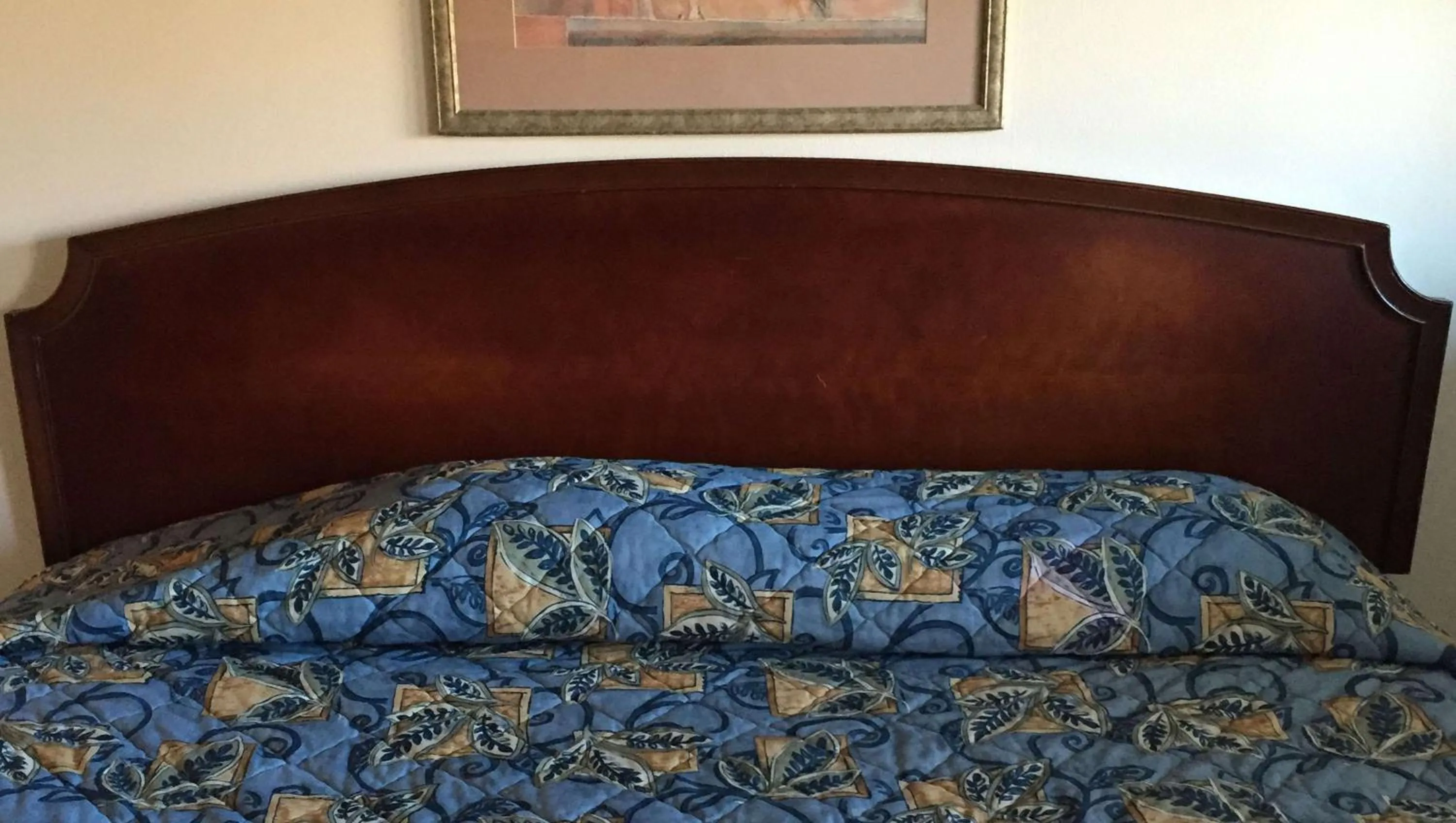 Photo of the whole room, Bed in Country Place Inn and Suites White Haven