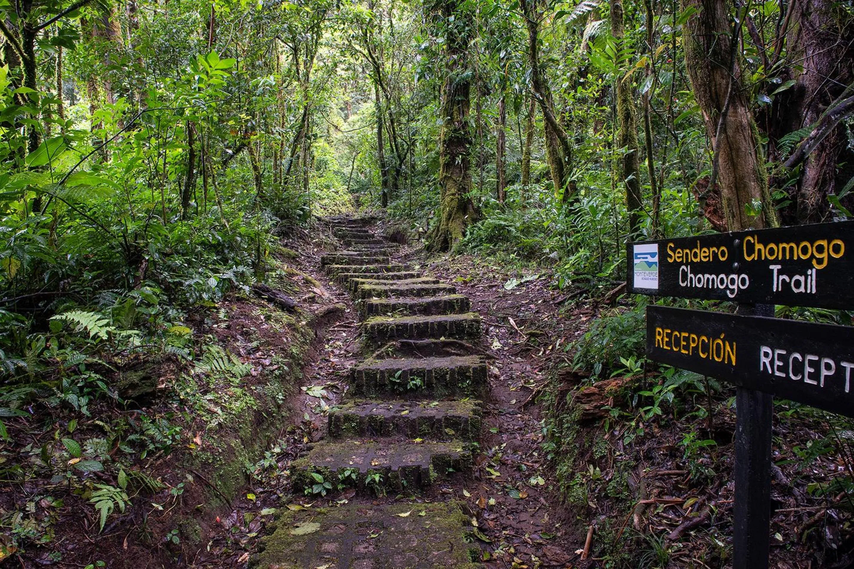 Hiking in Monteverde Lodge
