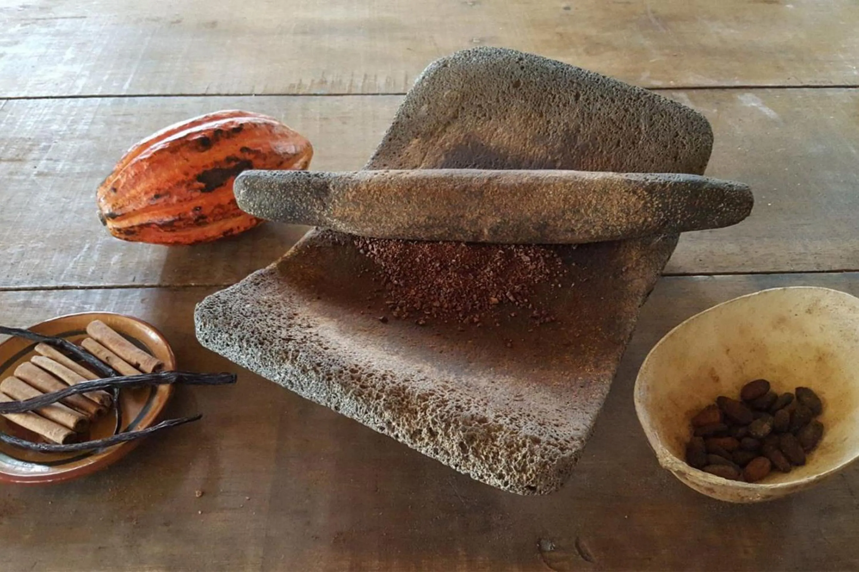 Activities in Tortuga Lodge