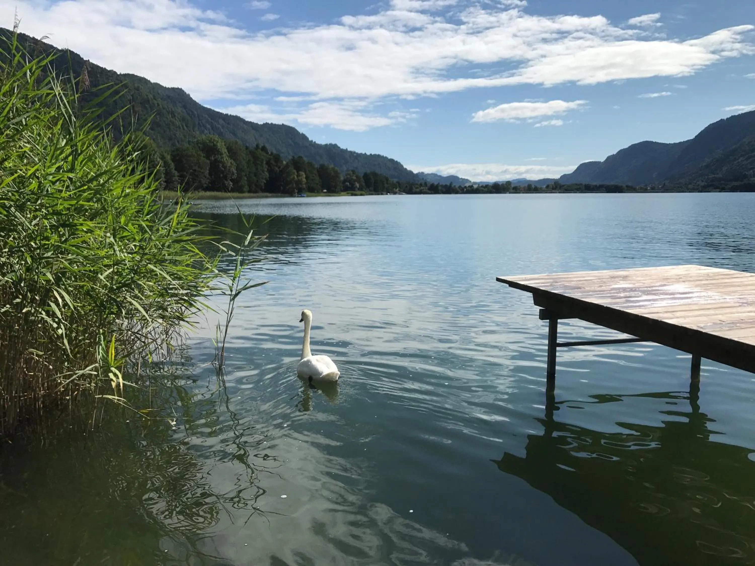 Beach in Villa Stiegl