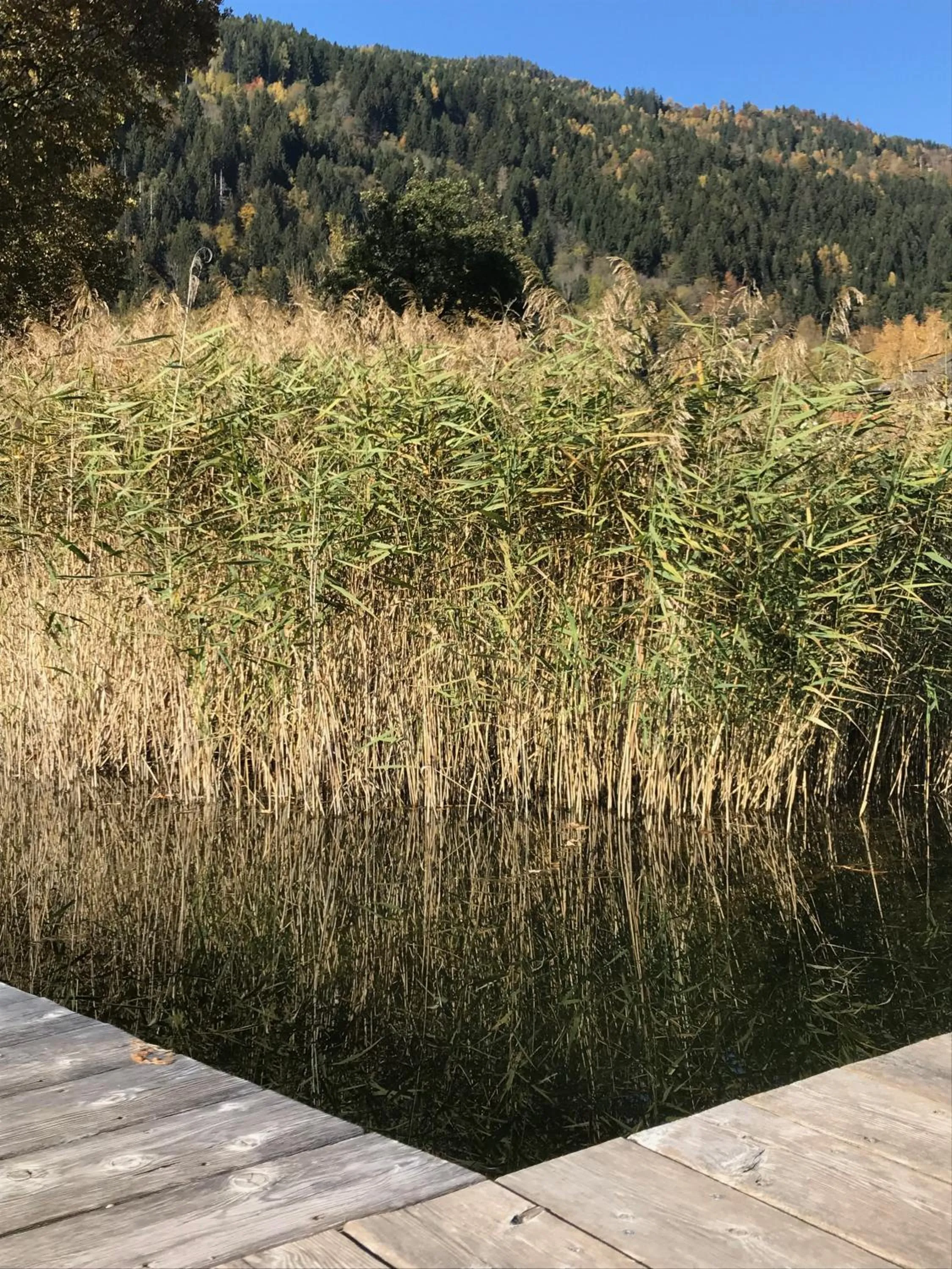 Beach in Villa Stiegl