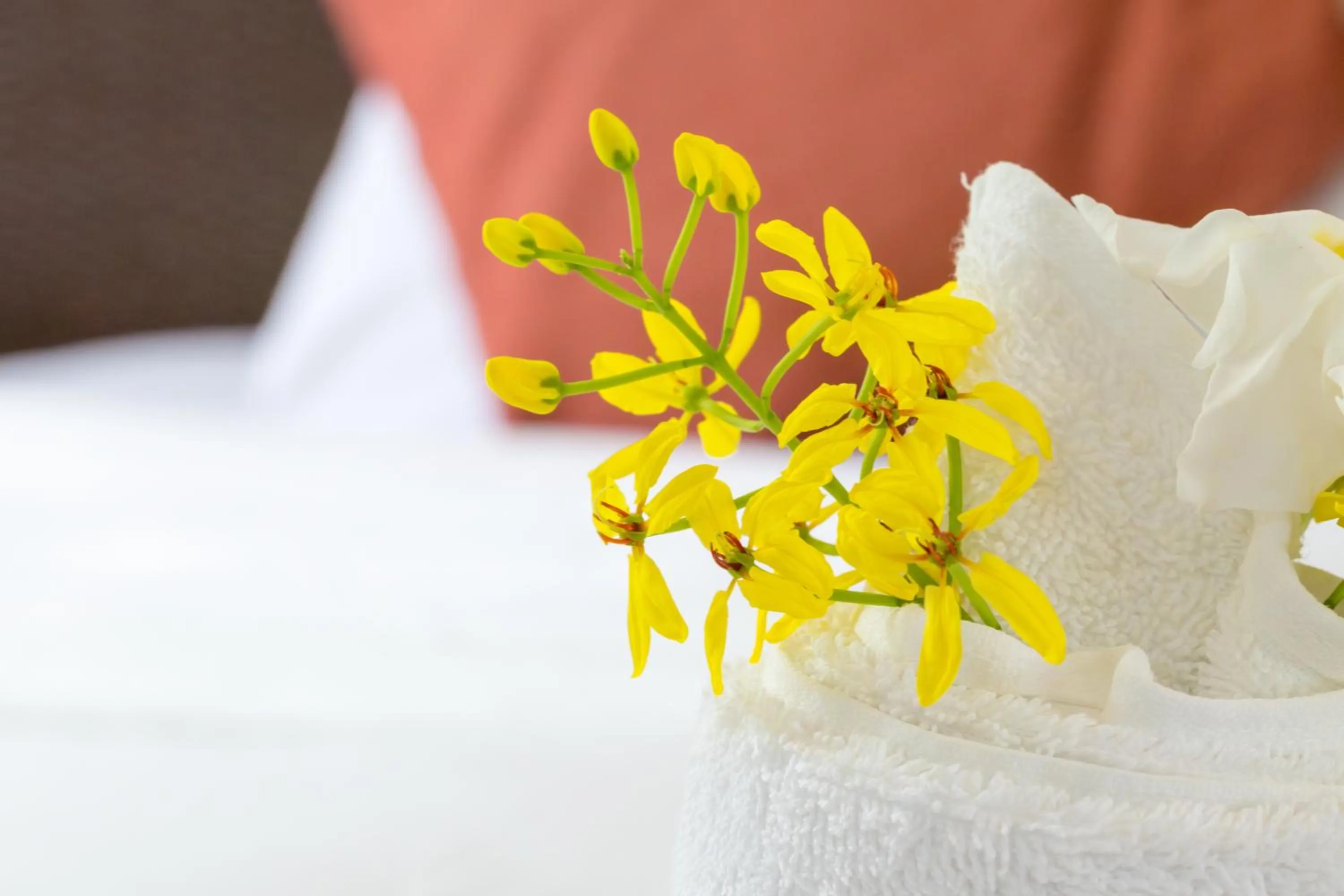 Decorative detail in Palms Cove Resort