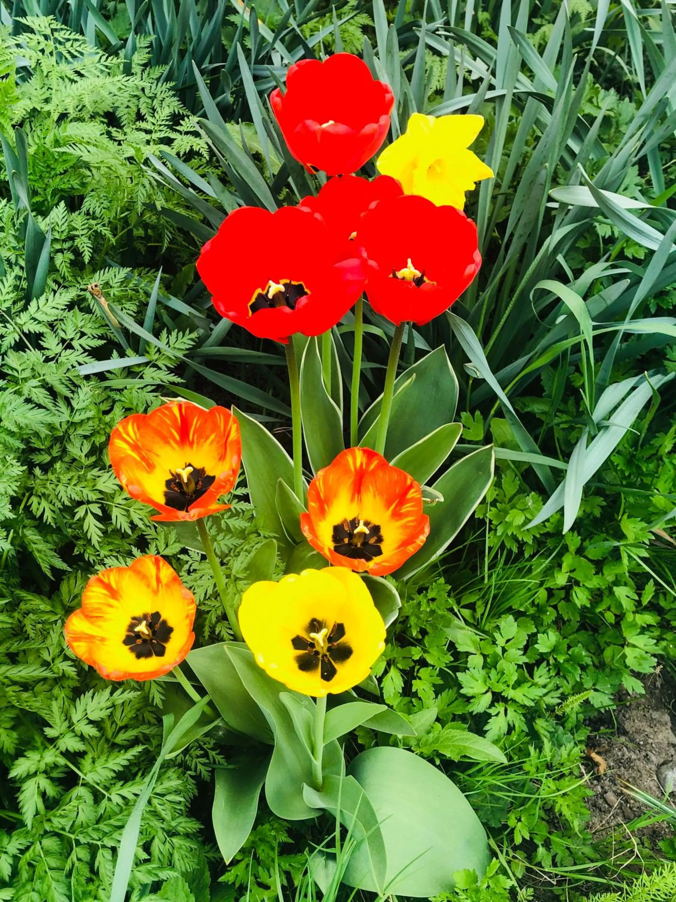 Garden in Villa Ekbladh