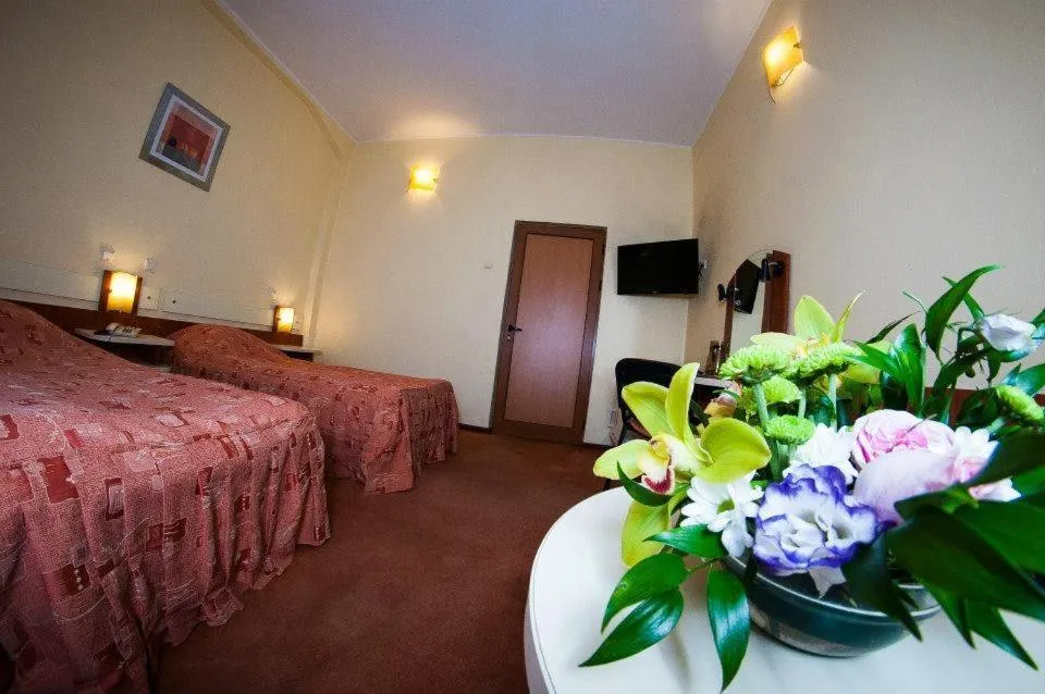 Economy Attic Twin Room - single occupancy in Hotel Astoria City Center