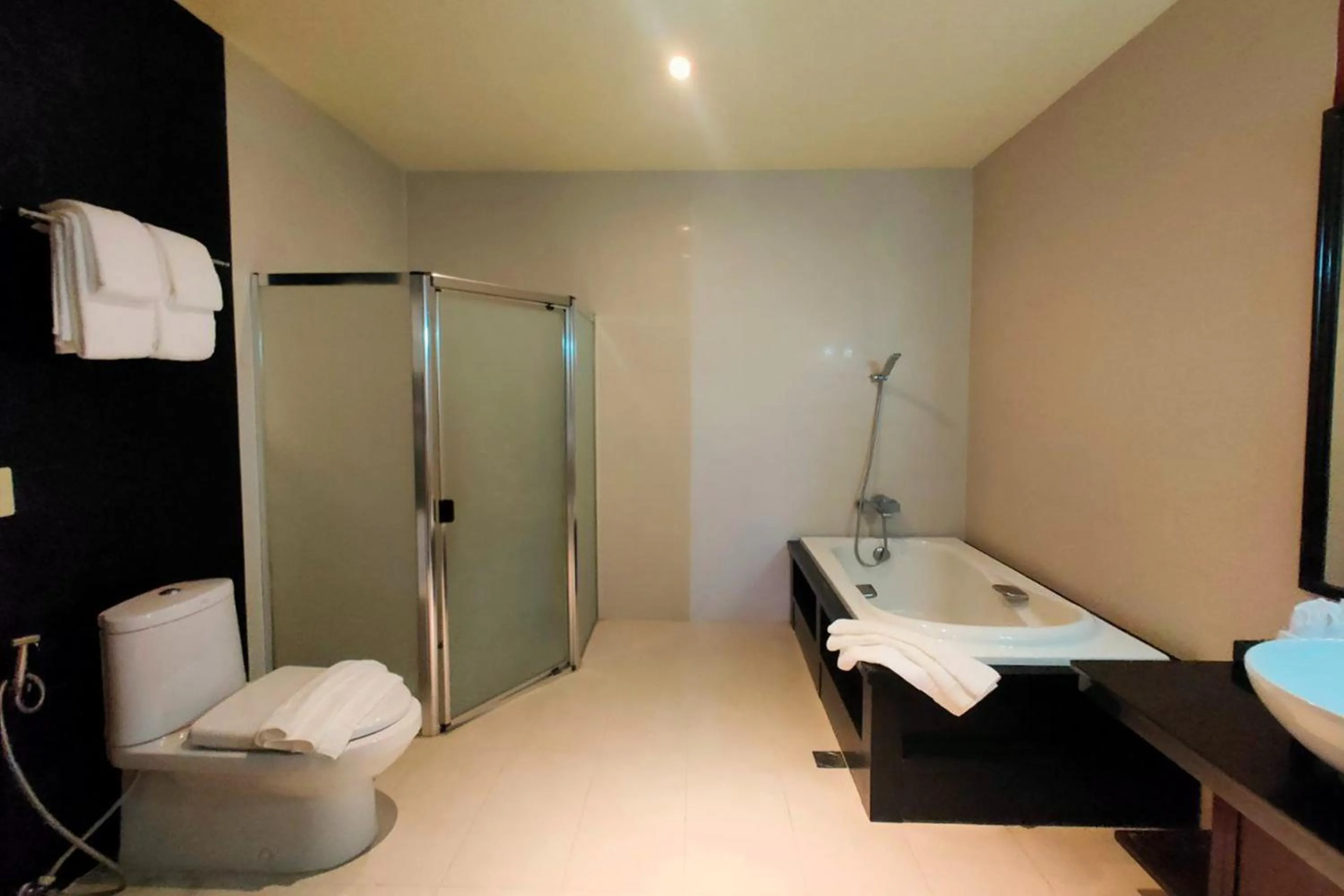 Shower in Hotel Centro Puerto Princesa Near Airport