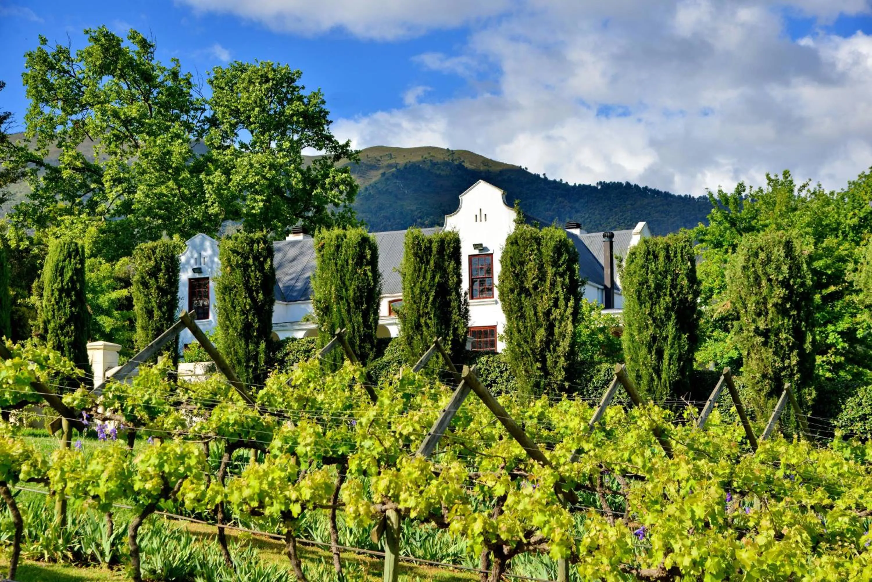 Natural landscape in Val Du Charron Wine & Leisure Estate