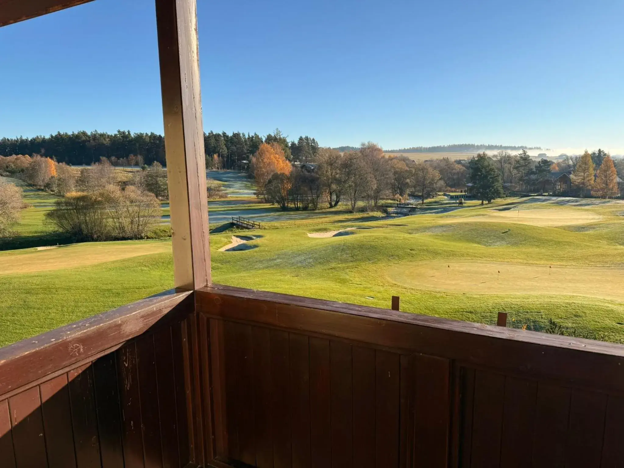 View (from property/room) in Hotel International View (from property/room) in Hotel International