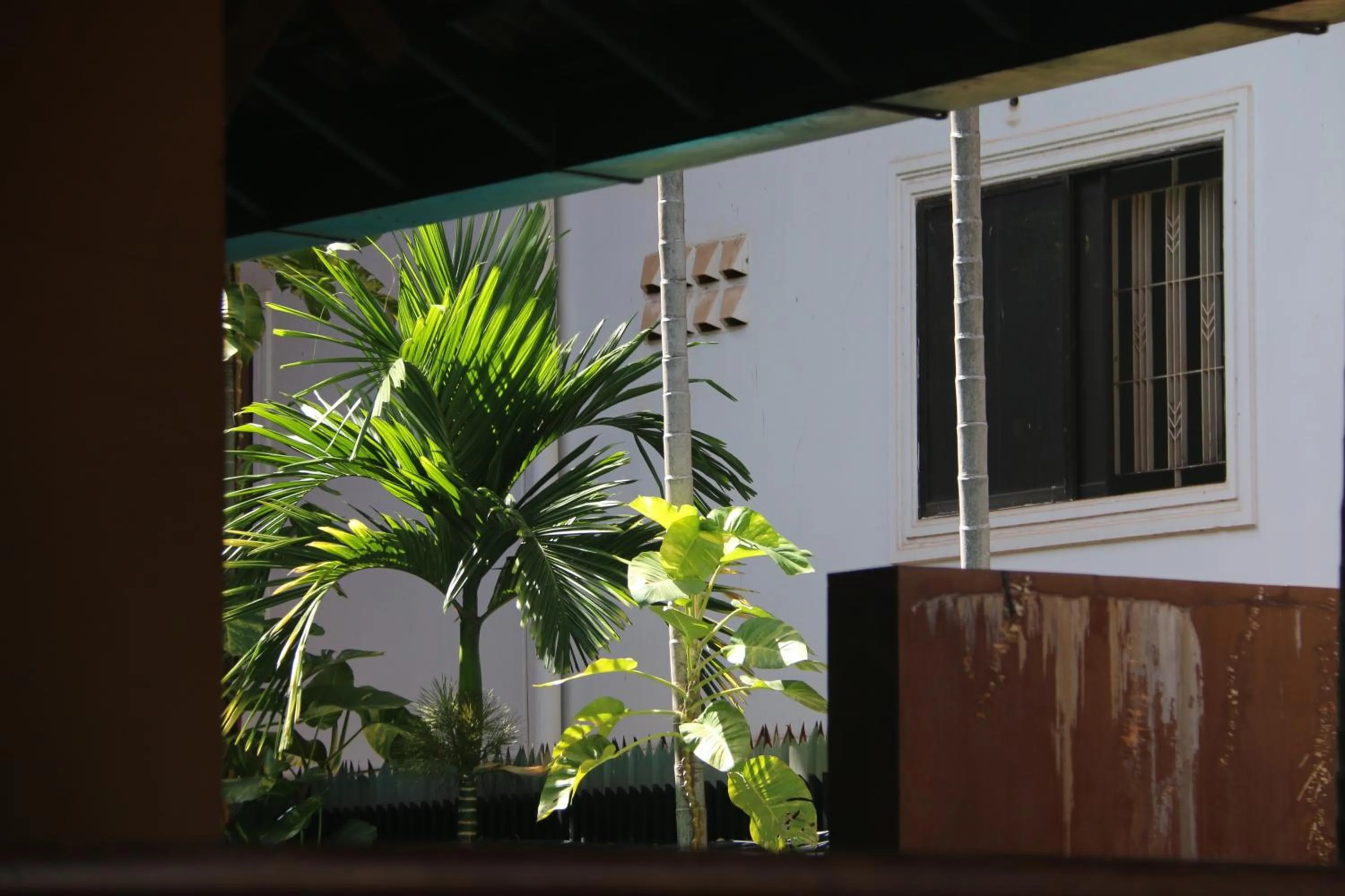 Garden view in Shining Angkor Apartment Hotel