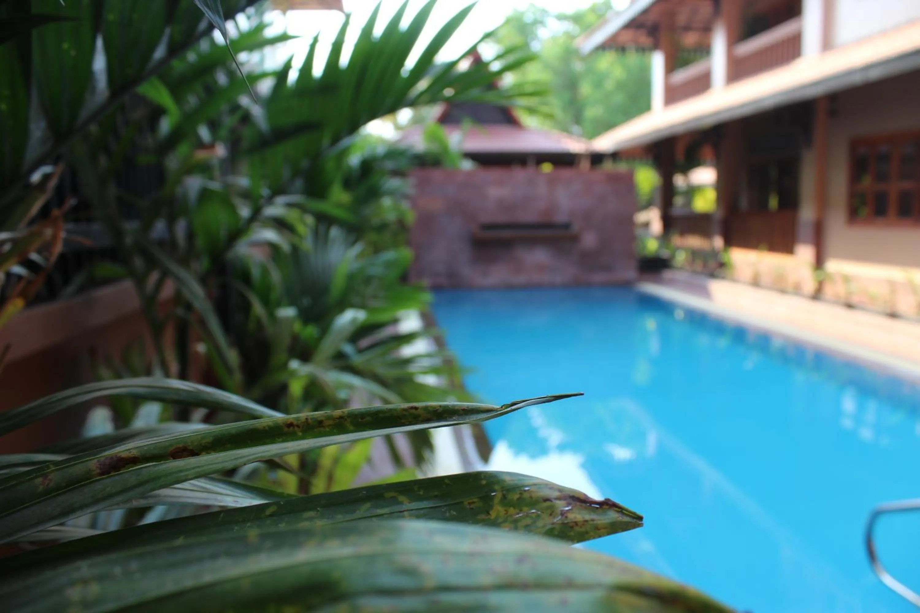 Swimming pool in Shining Angkor Apartment Hotel