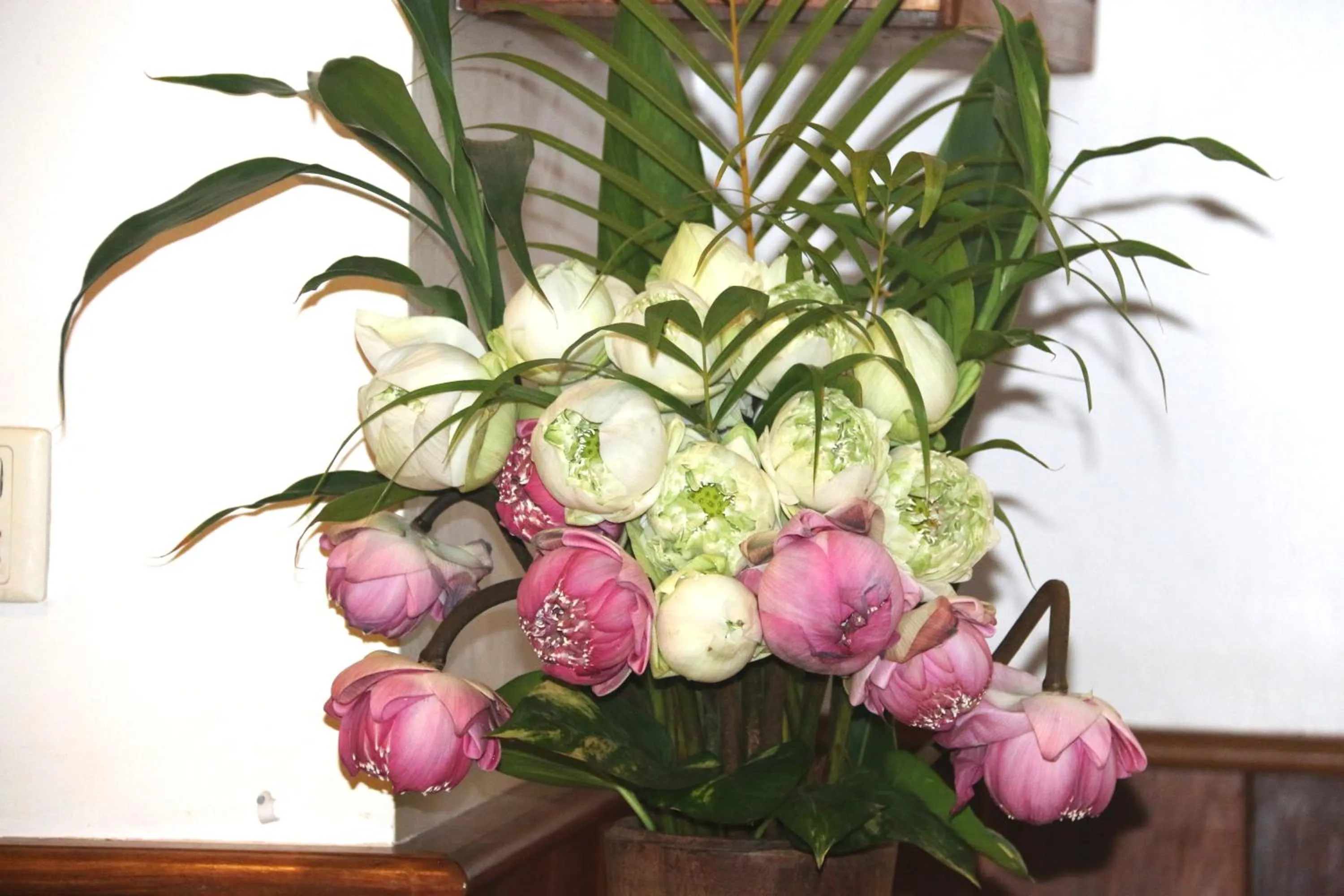 Restaurant/places to eat in Shining Angkor Apartment Hotel