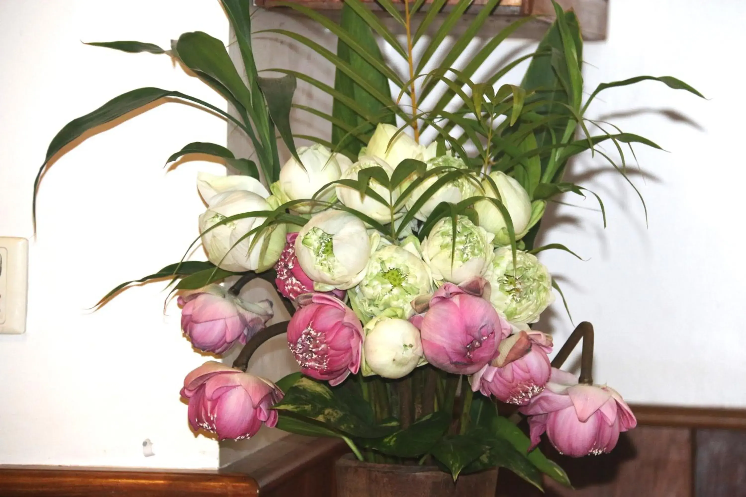 Restaurant/places to eat in Shining Angkor Apartment Hotel Restaurant/places to eat in Shining Angkor Apartment Hotel